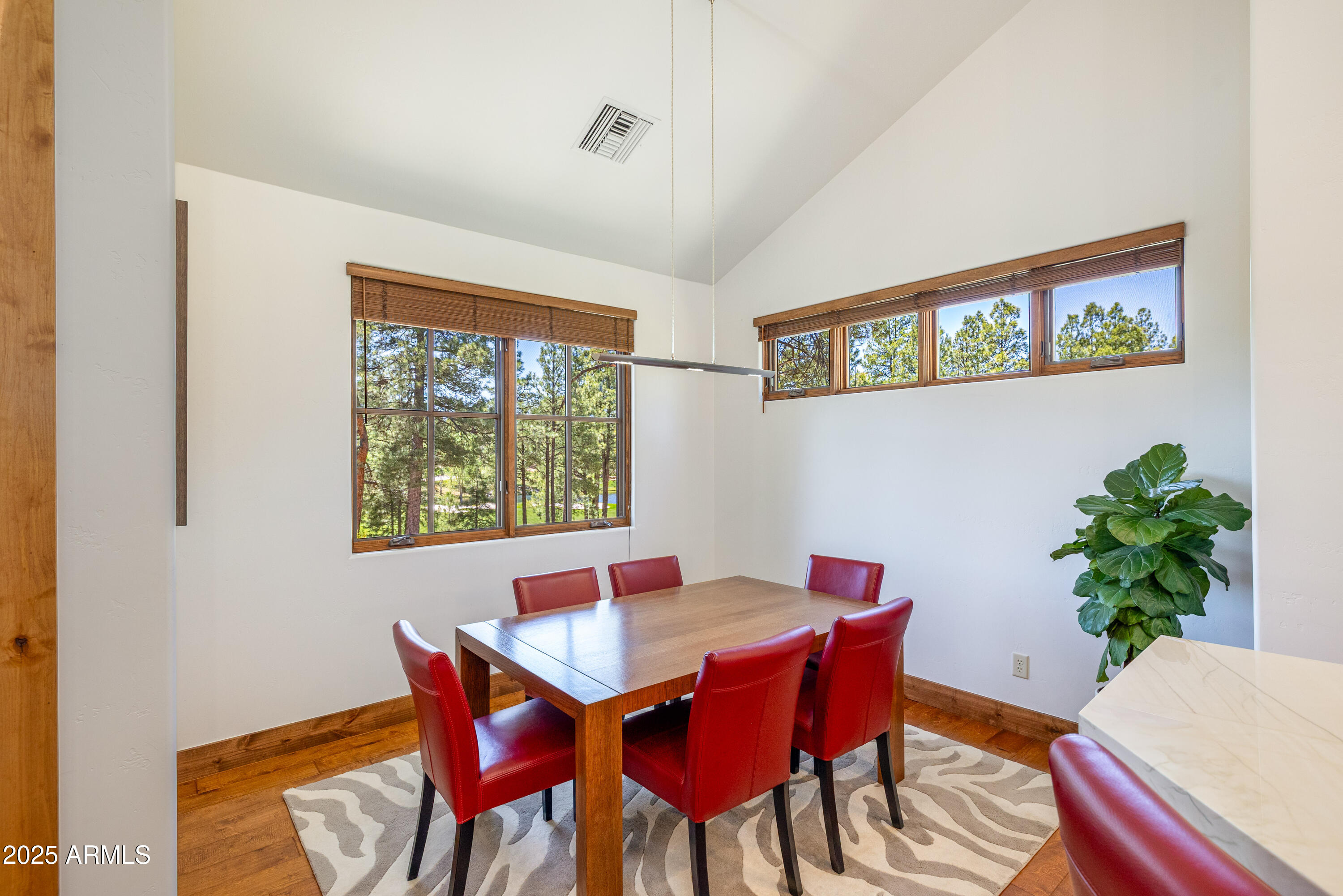 2725 S BIRDS OF PREY Court