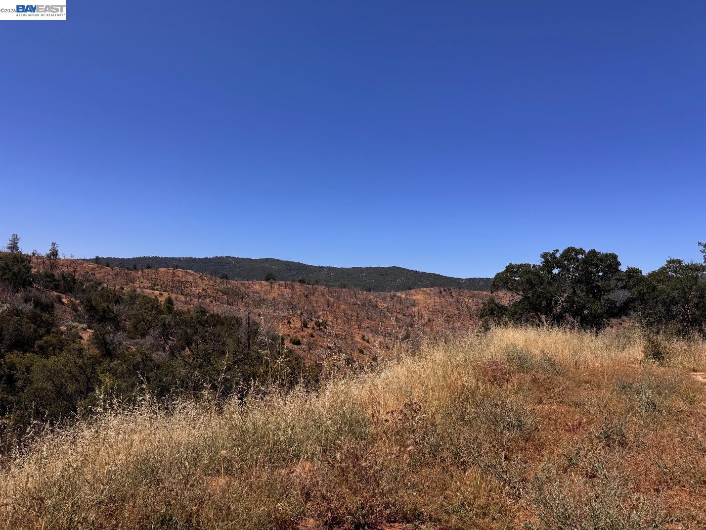 Rural hillside acreage with dry grass, scattered oak trees, and rolling hills beneath a clear blue sky.