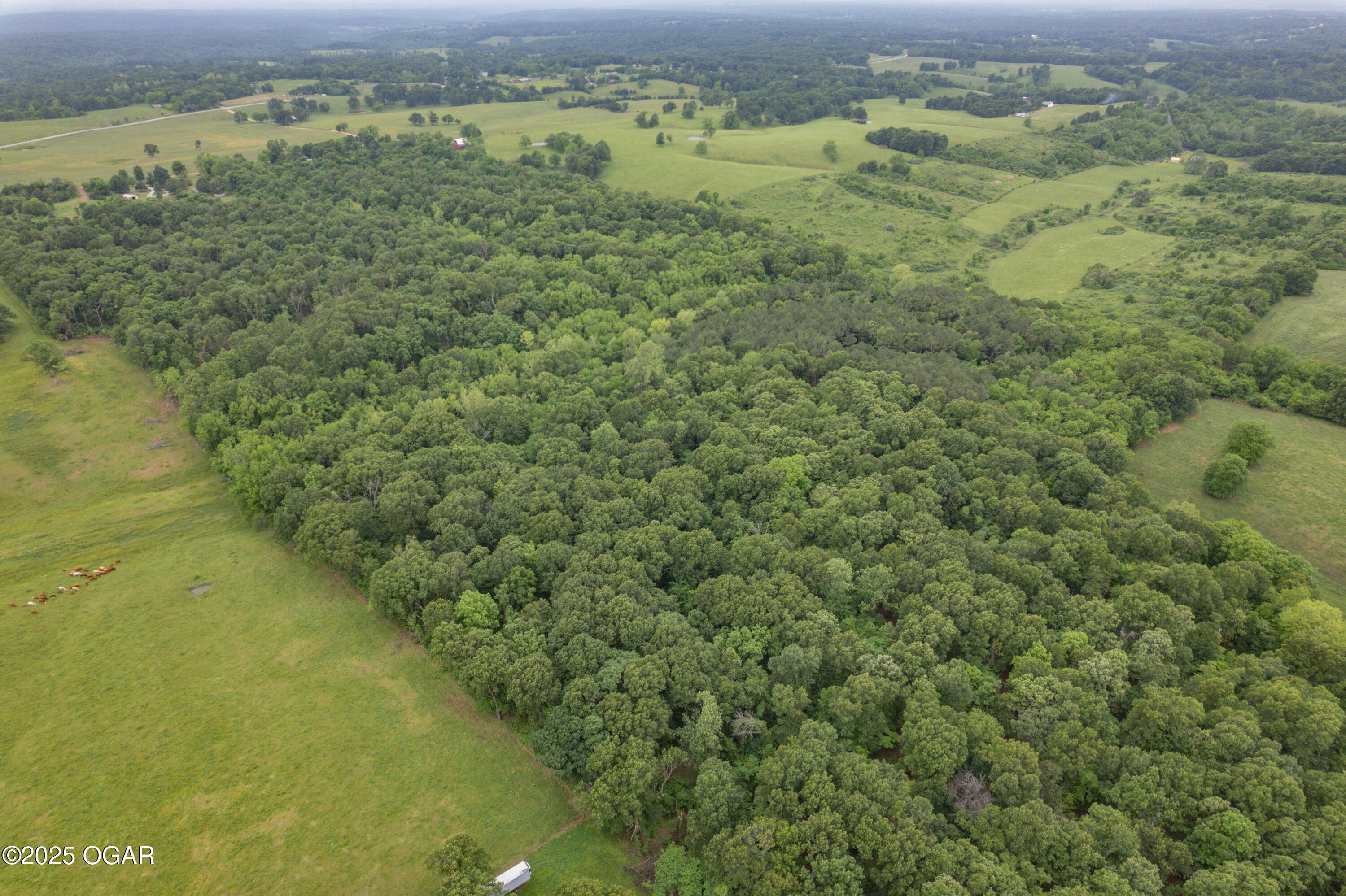 748 Puckett Road