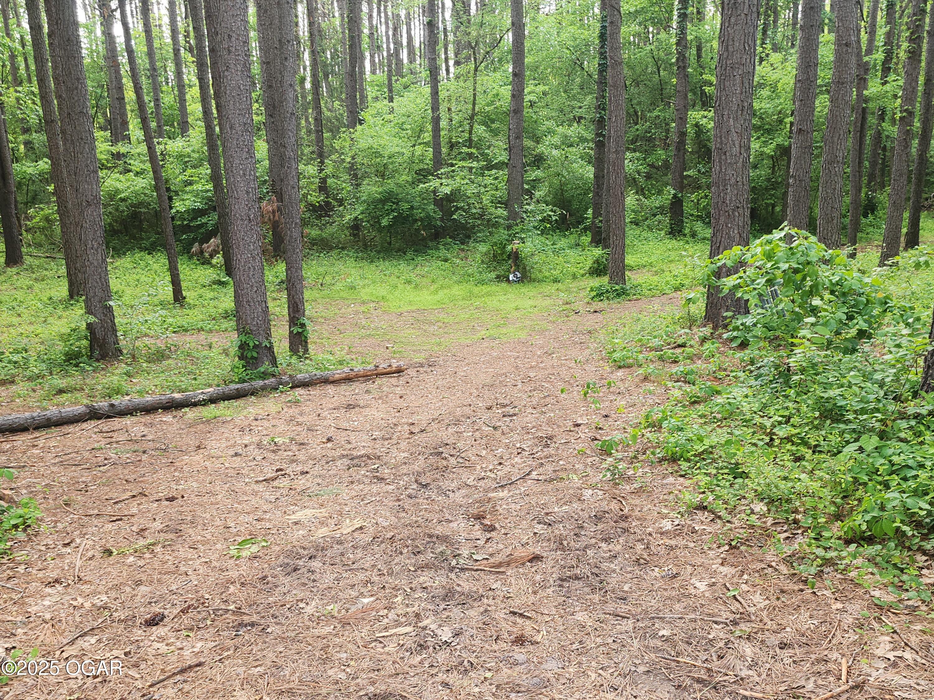 748 Puckett Road