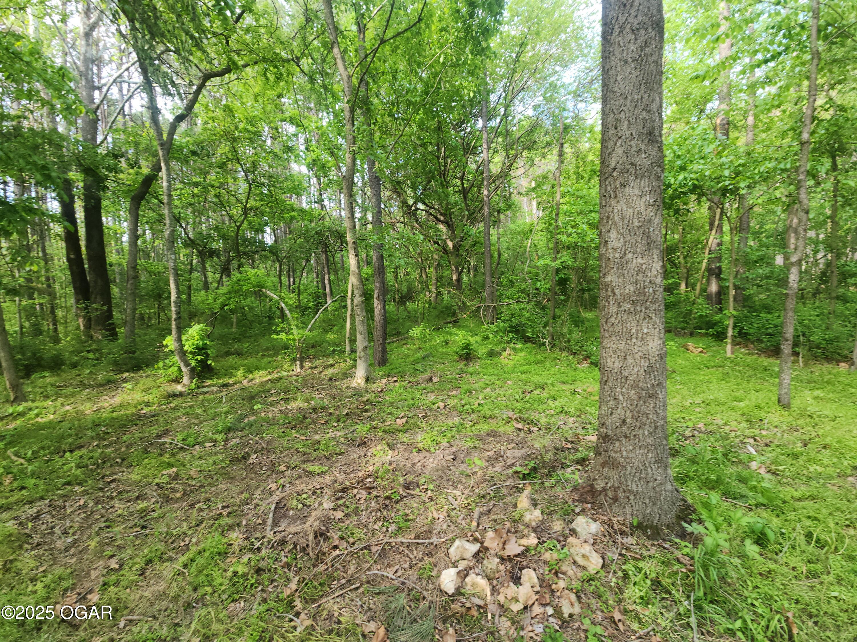 748 Puckett Road