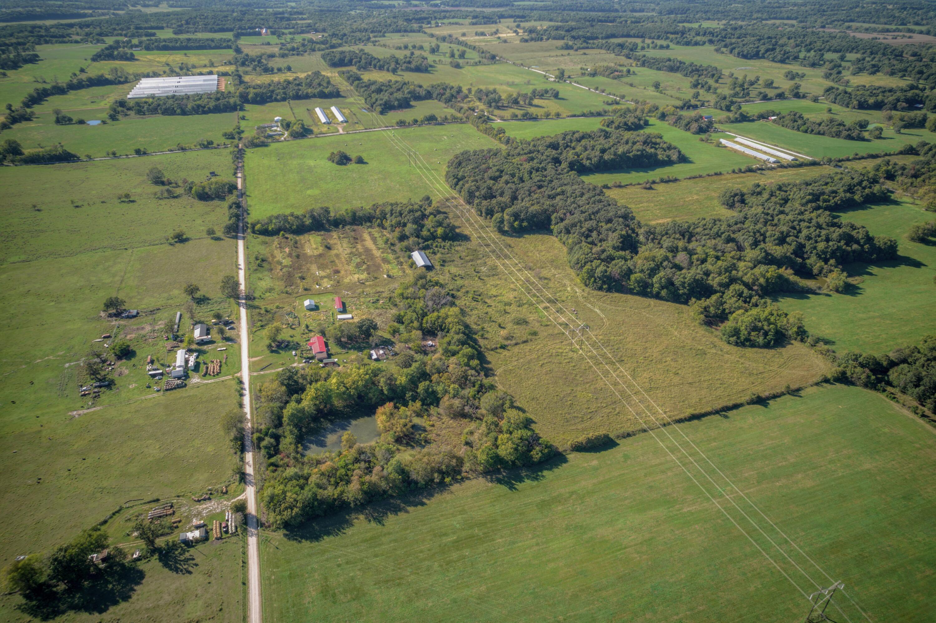 000 Queens Lace Drive