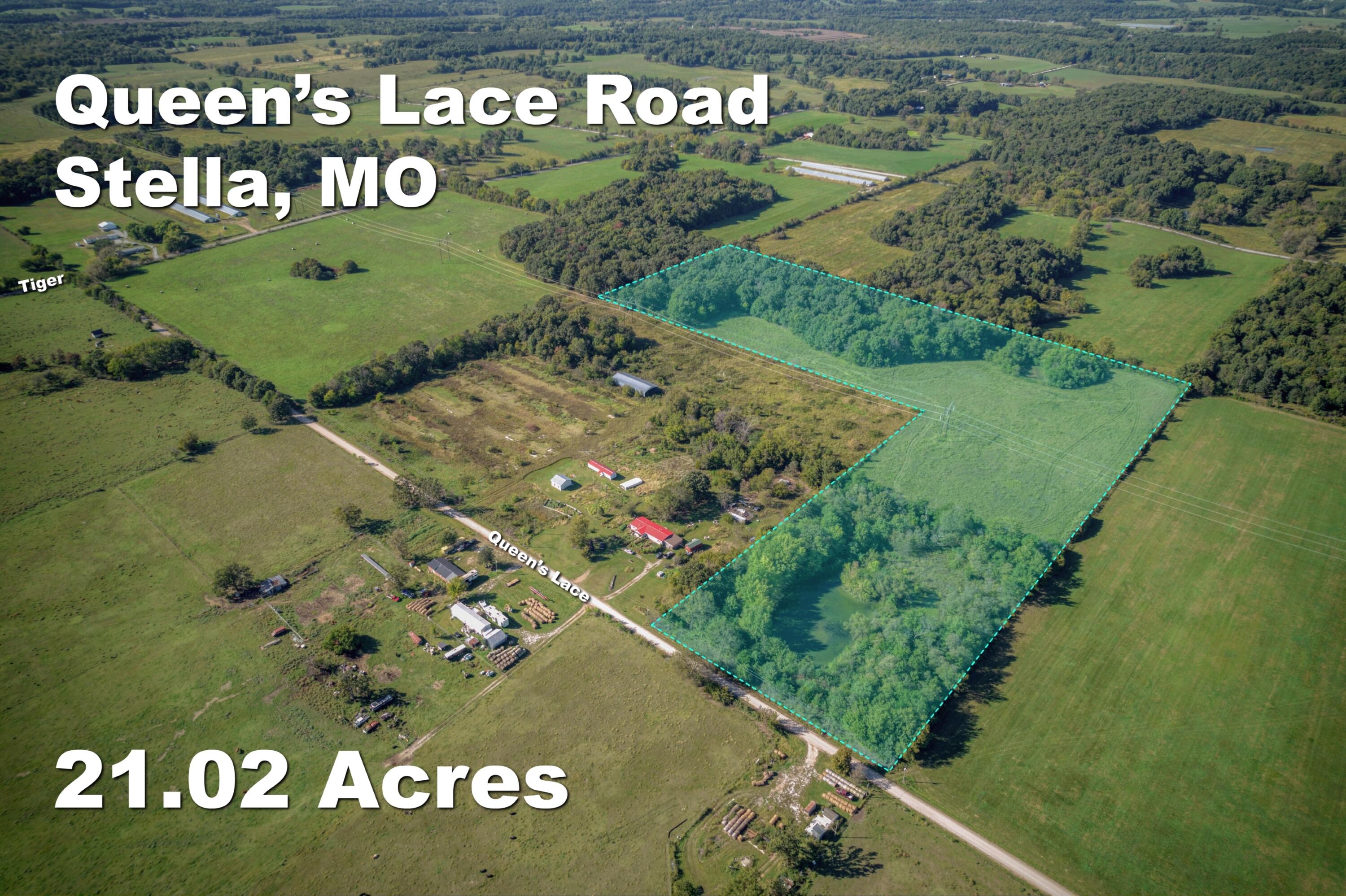 000 Queens Lace Drive