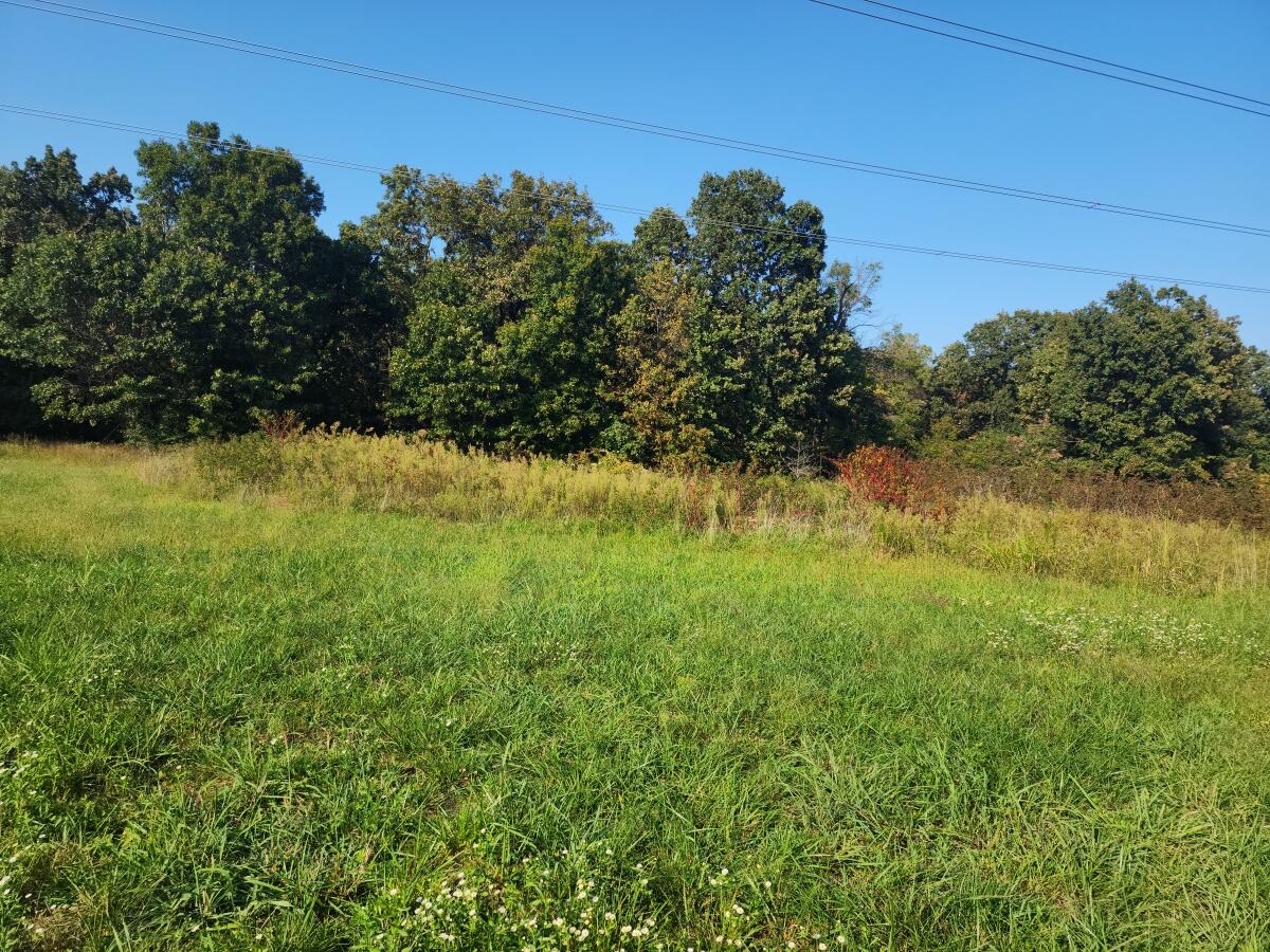 000 Queens Lace Drive