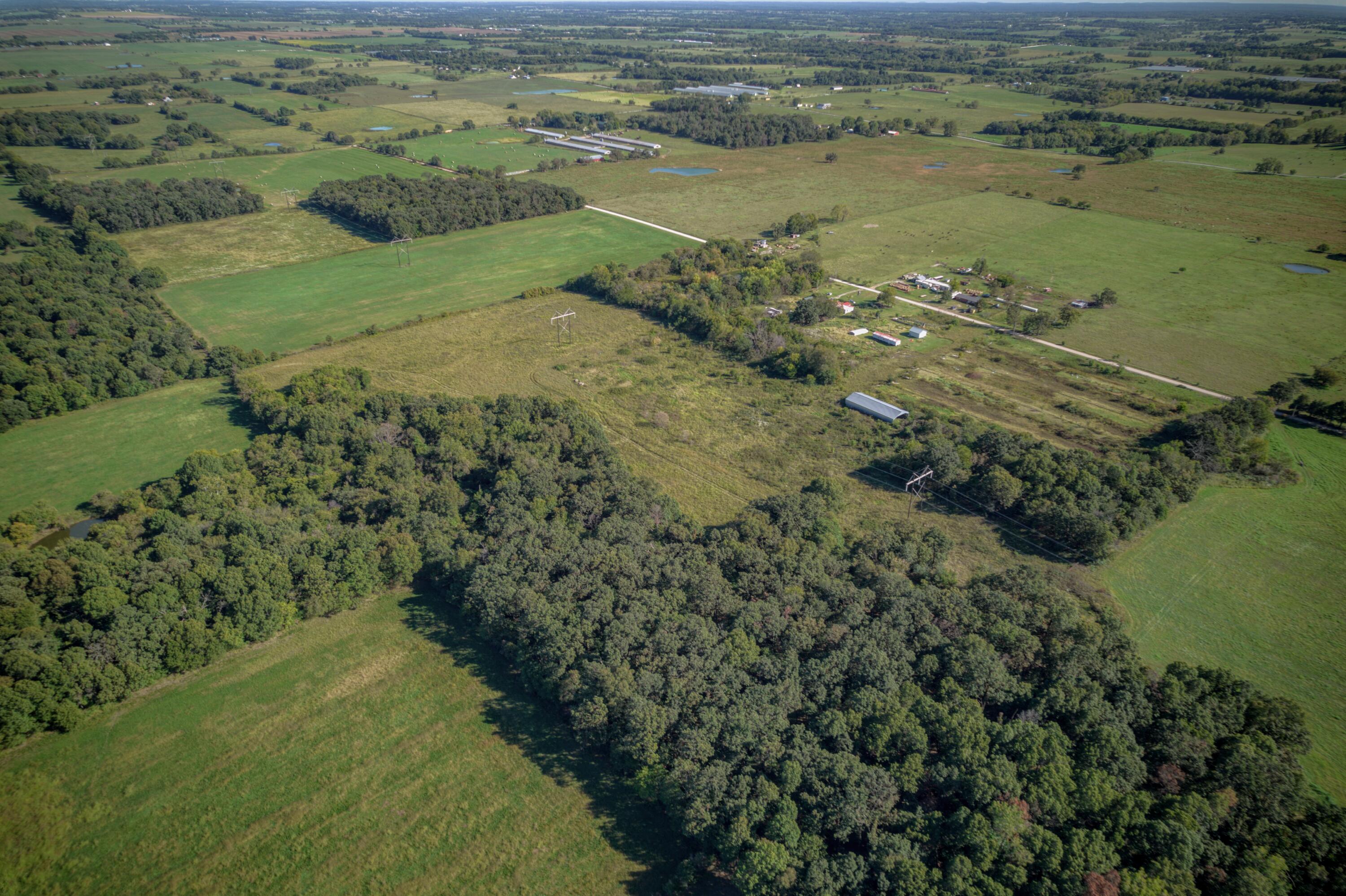 000 Queens Lace Drive