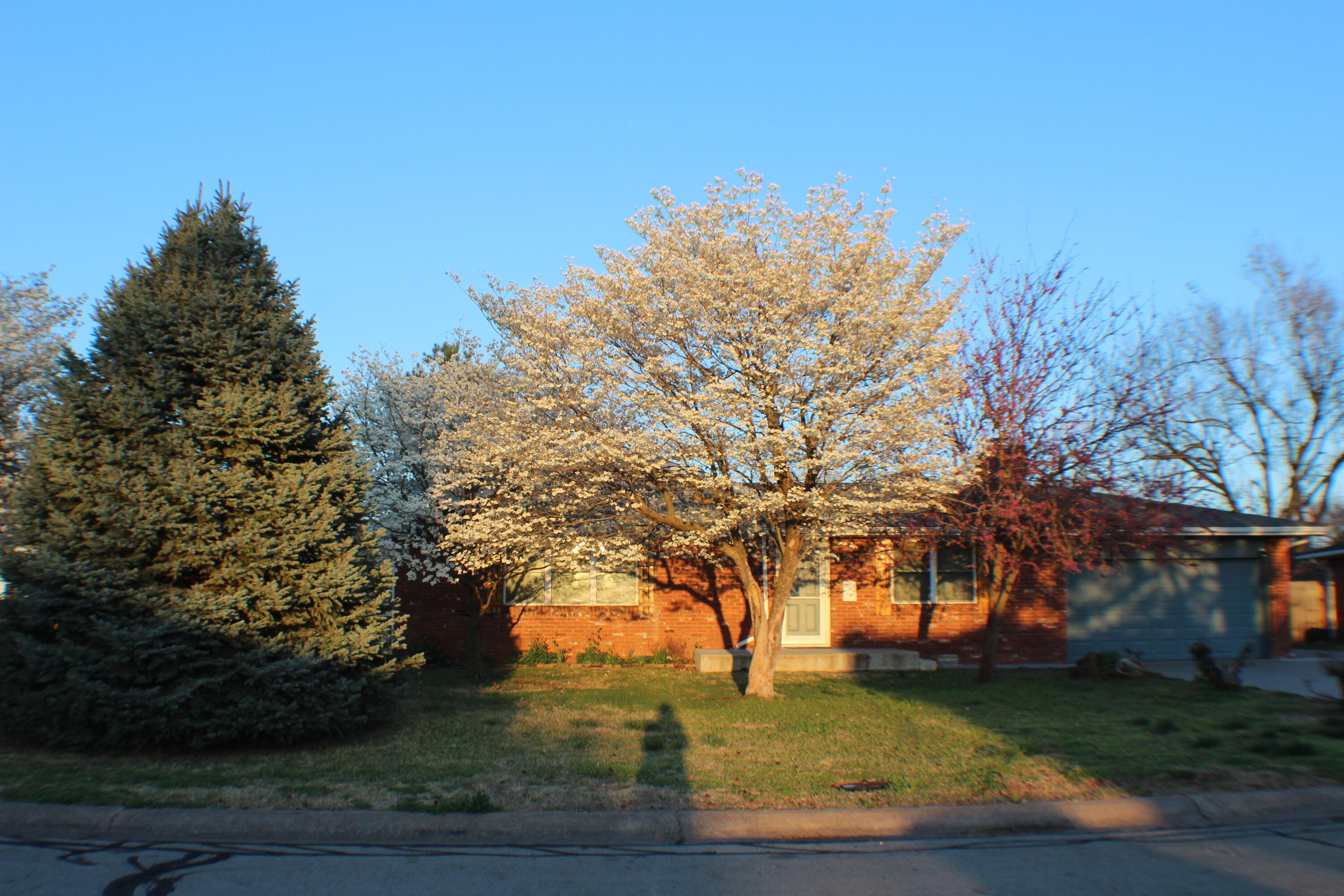 2621 S Illinois Avenue