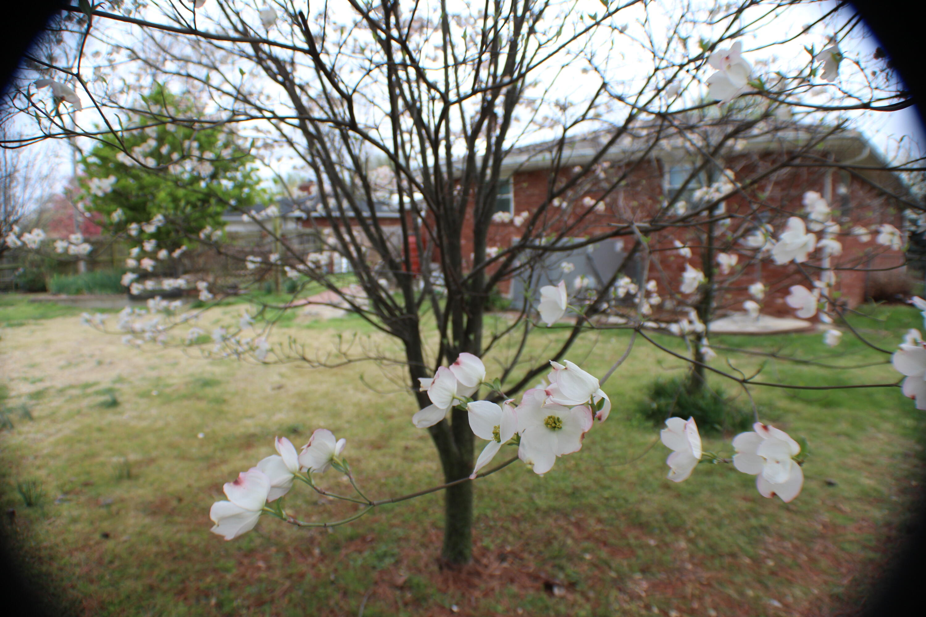 2621 S Illinois Avenue