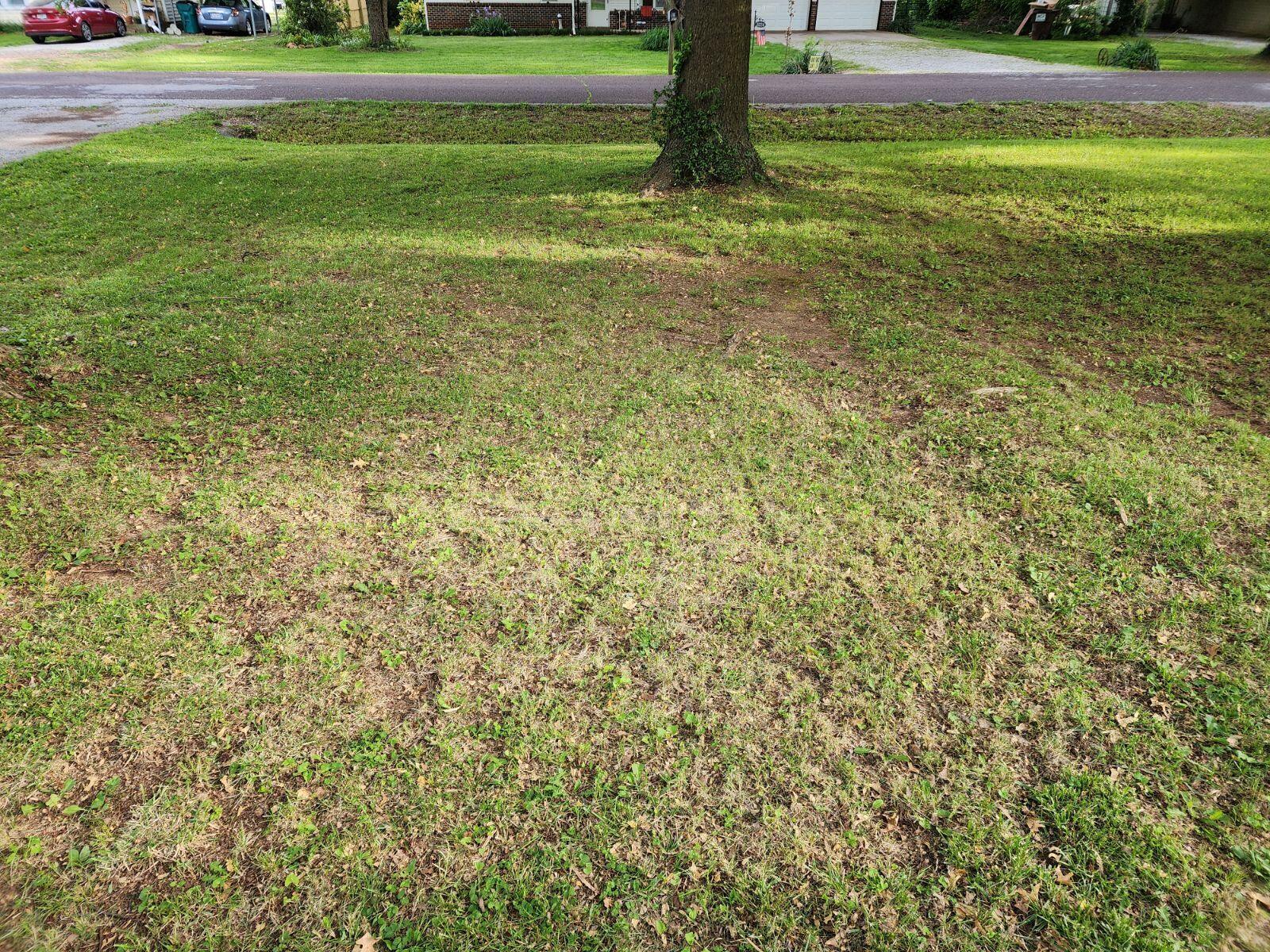 3211 W Lombard Street