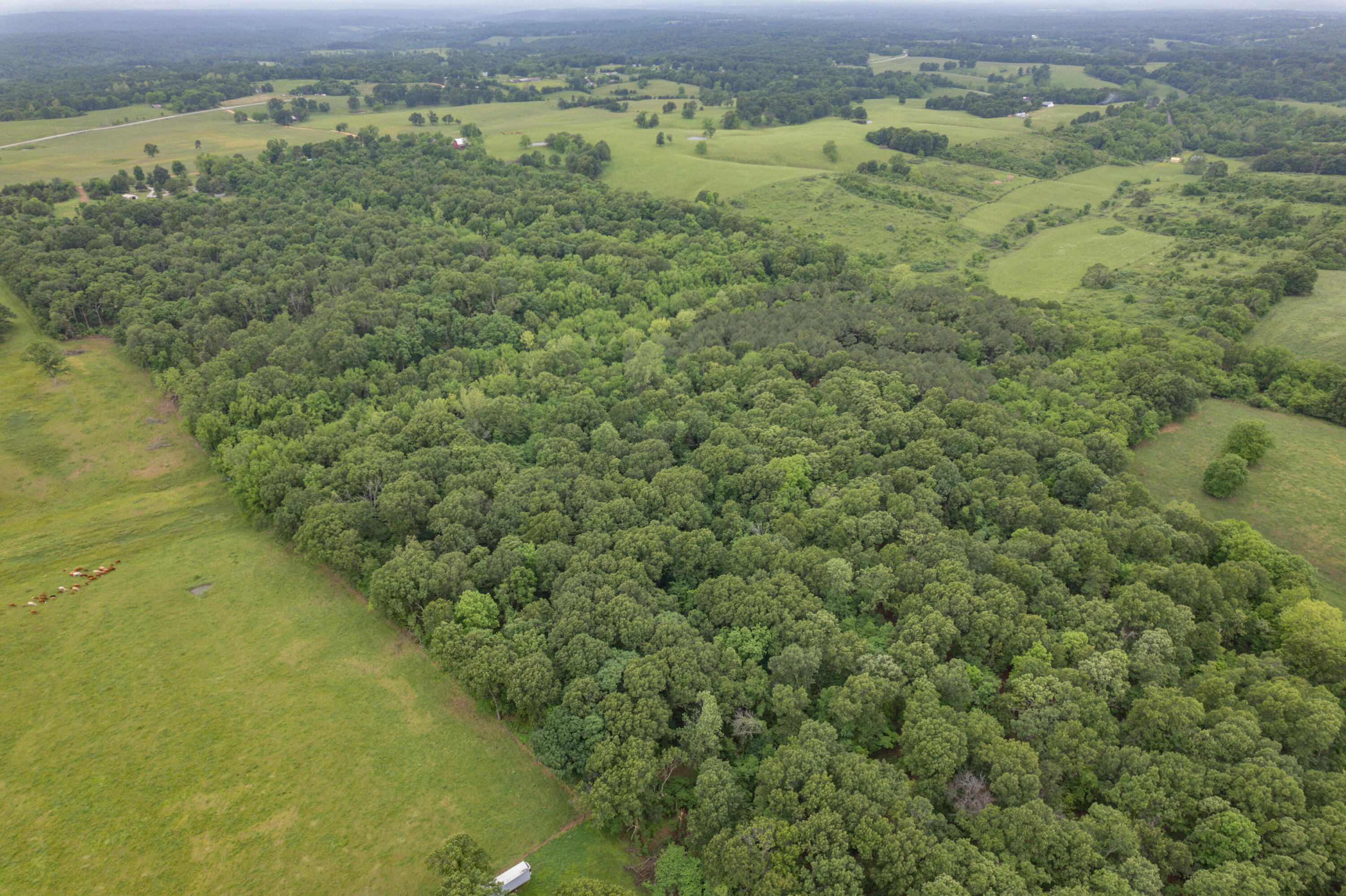 748 Puckett Road