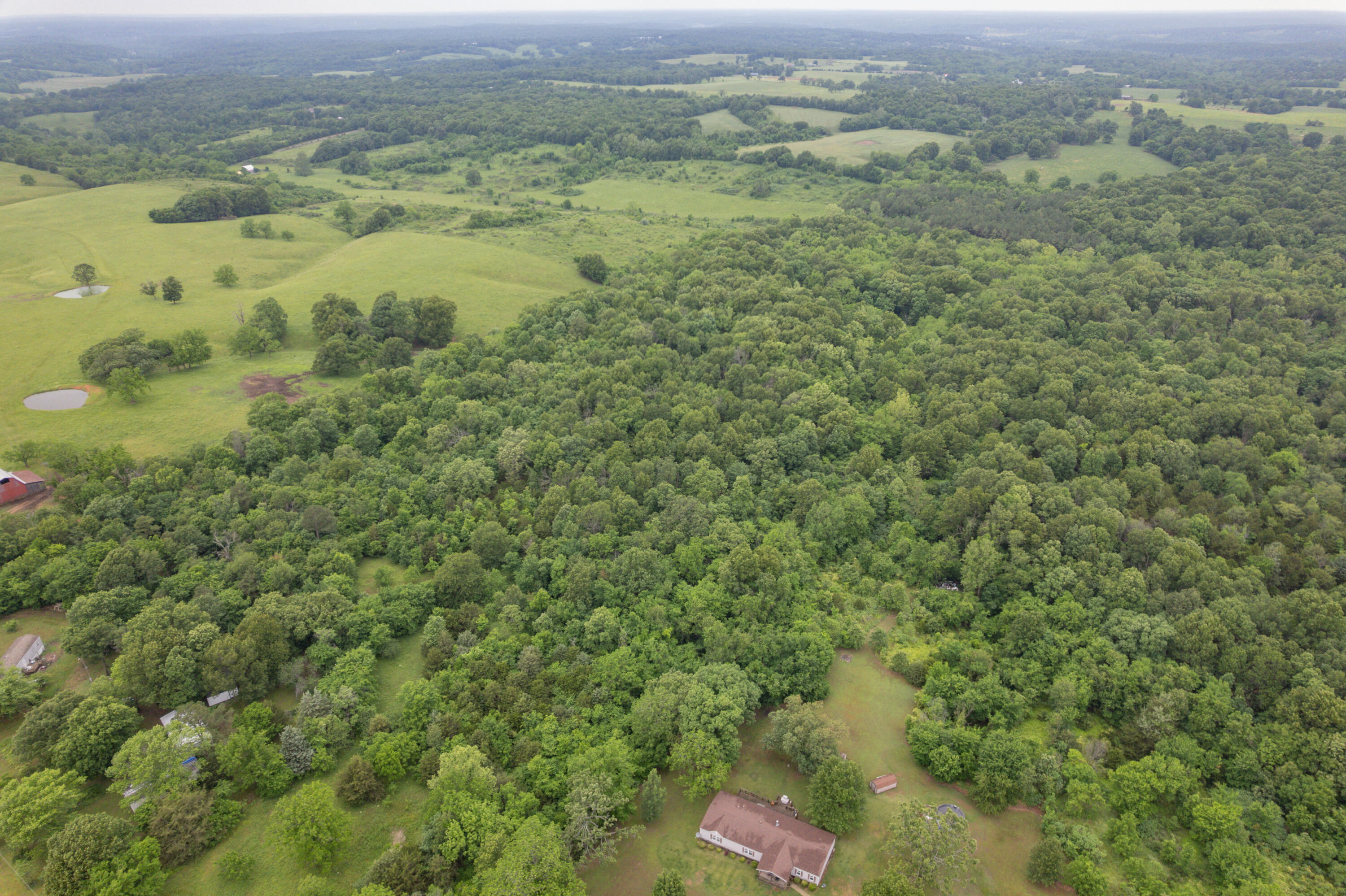 748 Puckett Road