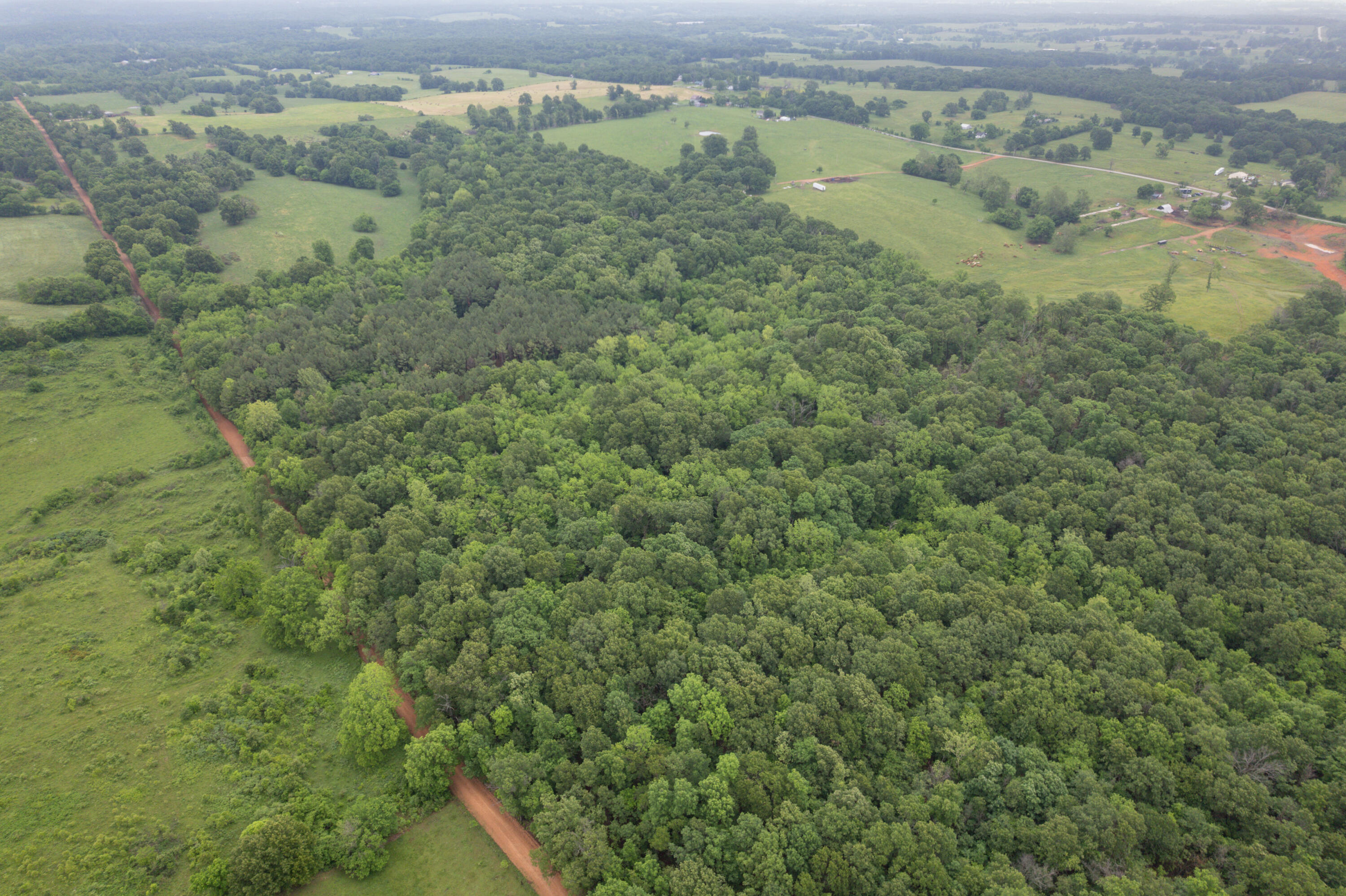 748 Puckett Road