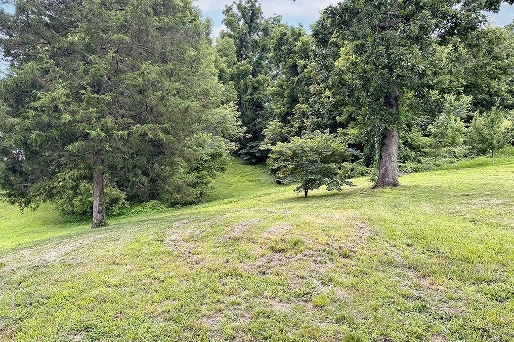 317 Patterson Street