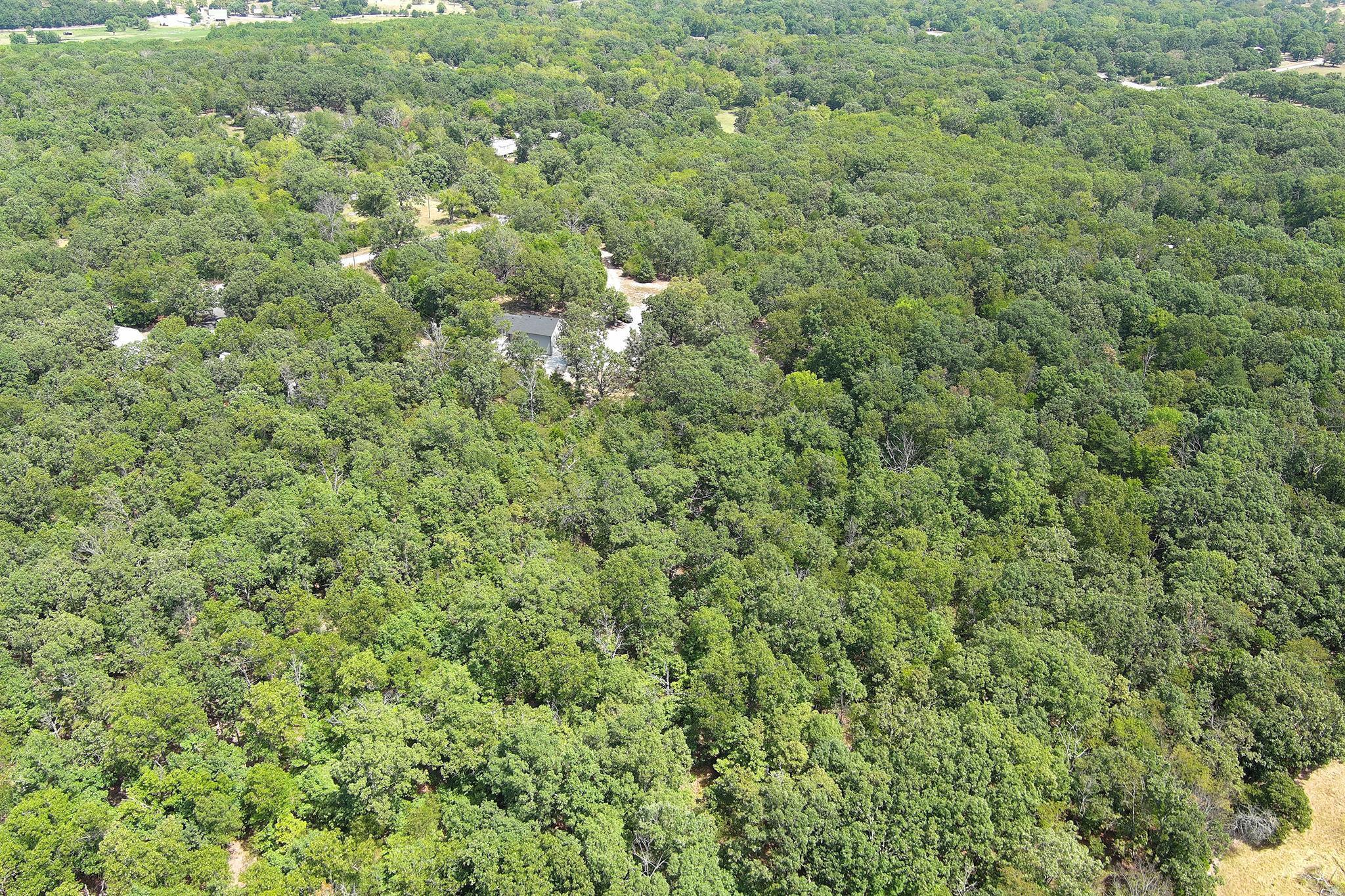 4247 Gum Road