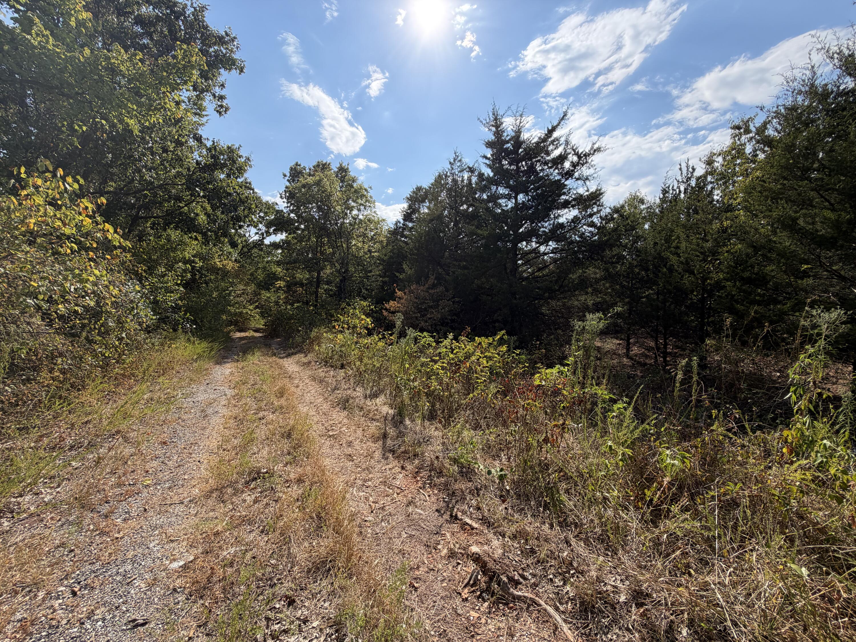 000 Doniphan Drive