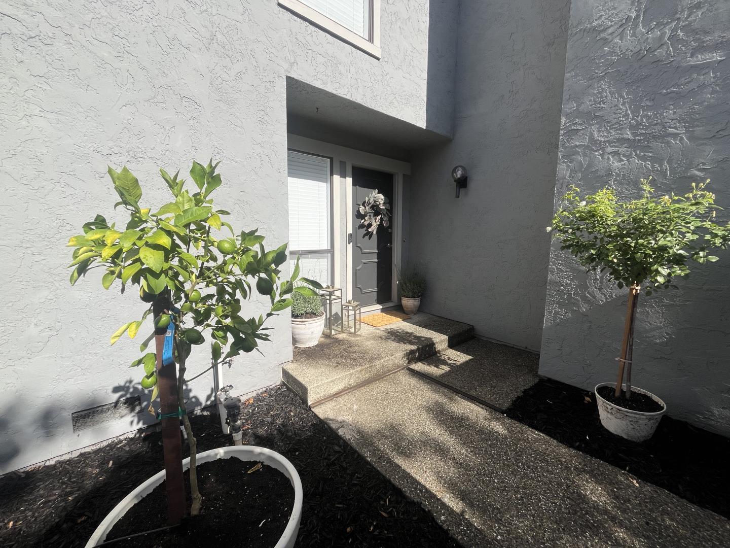 1 Doris Court
