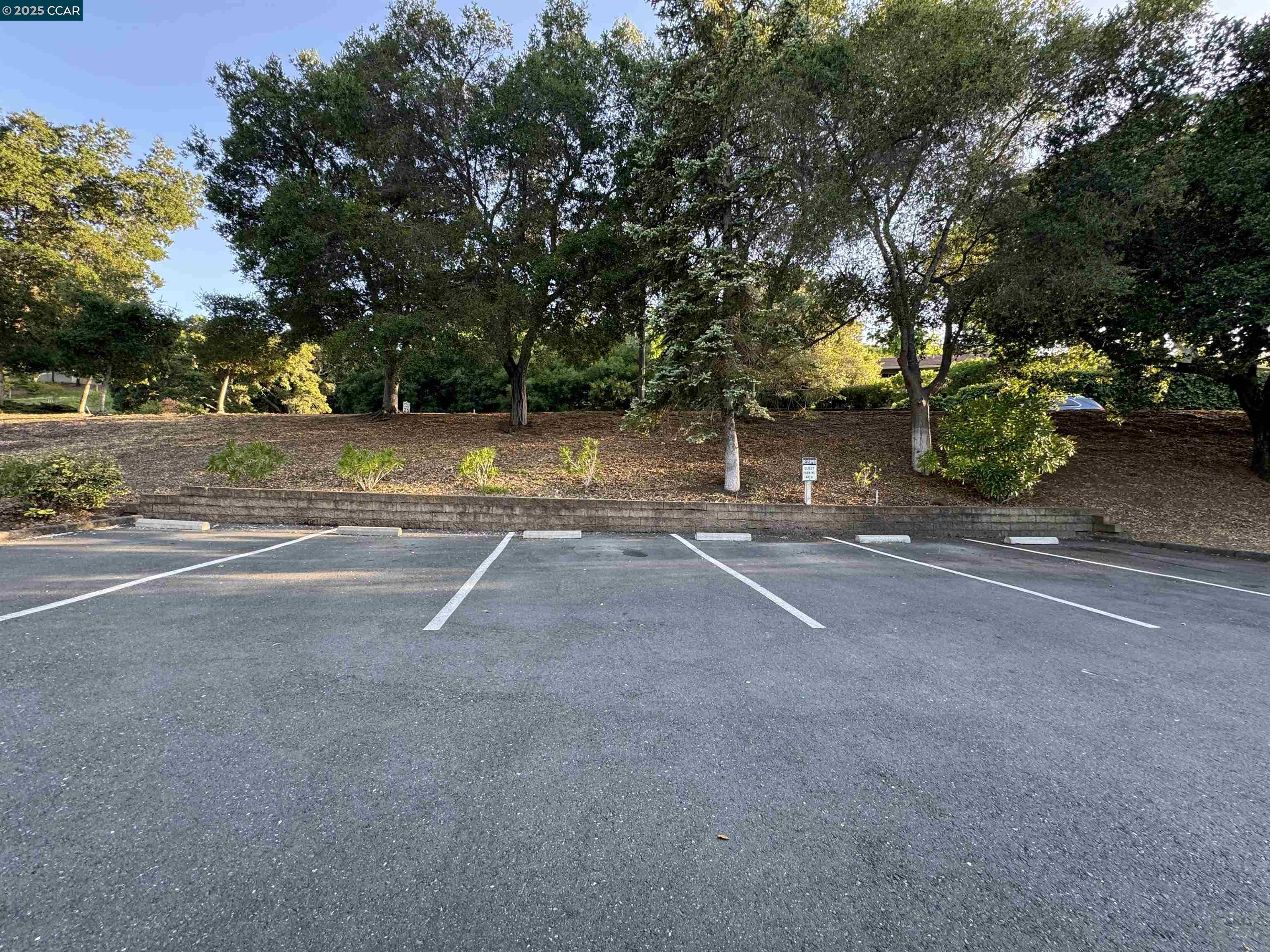 4033 Terra Granada Dr # 3B