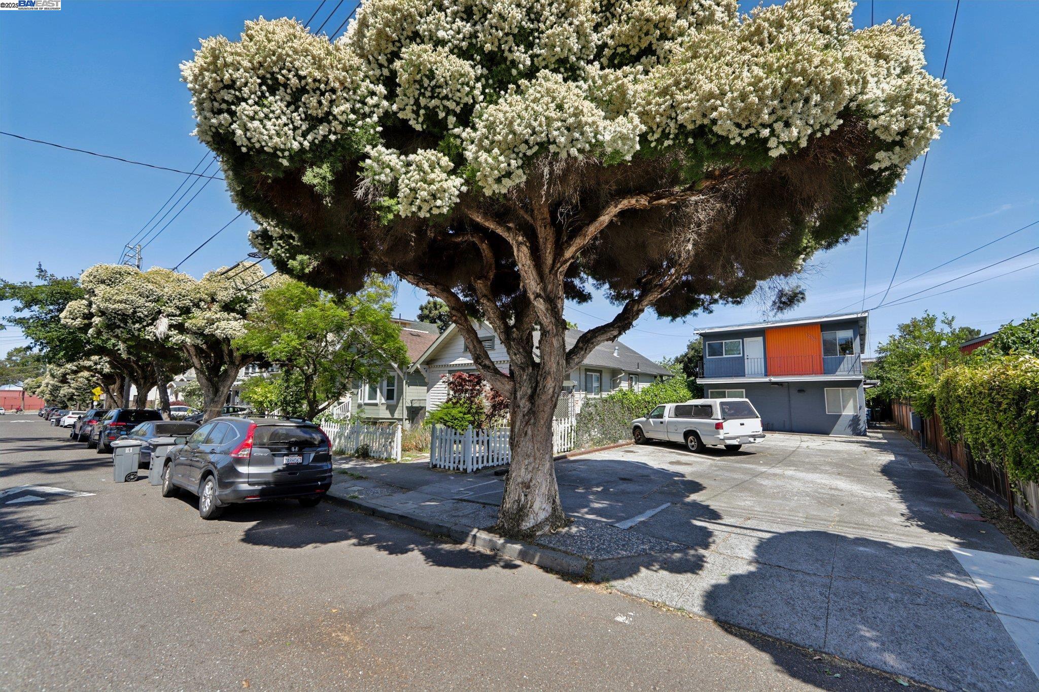 1235 Carrison Street