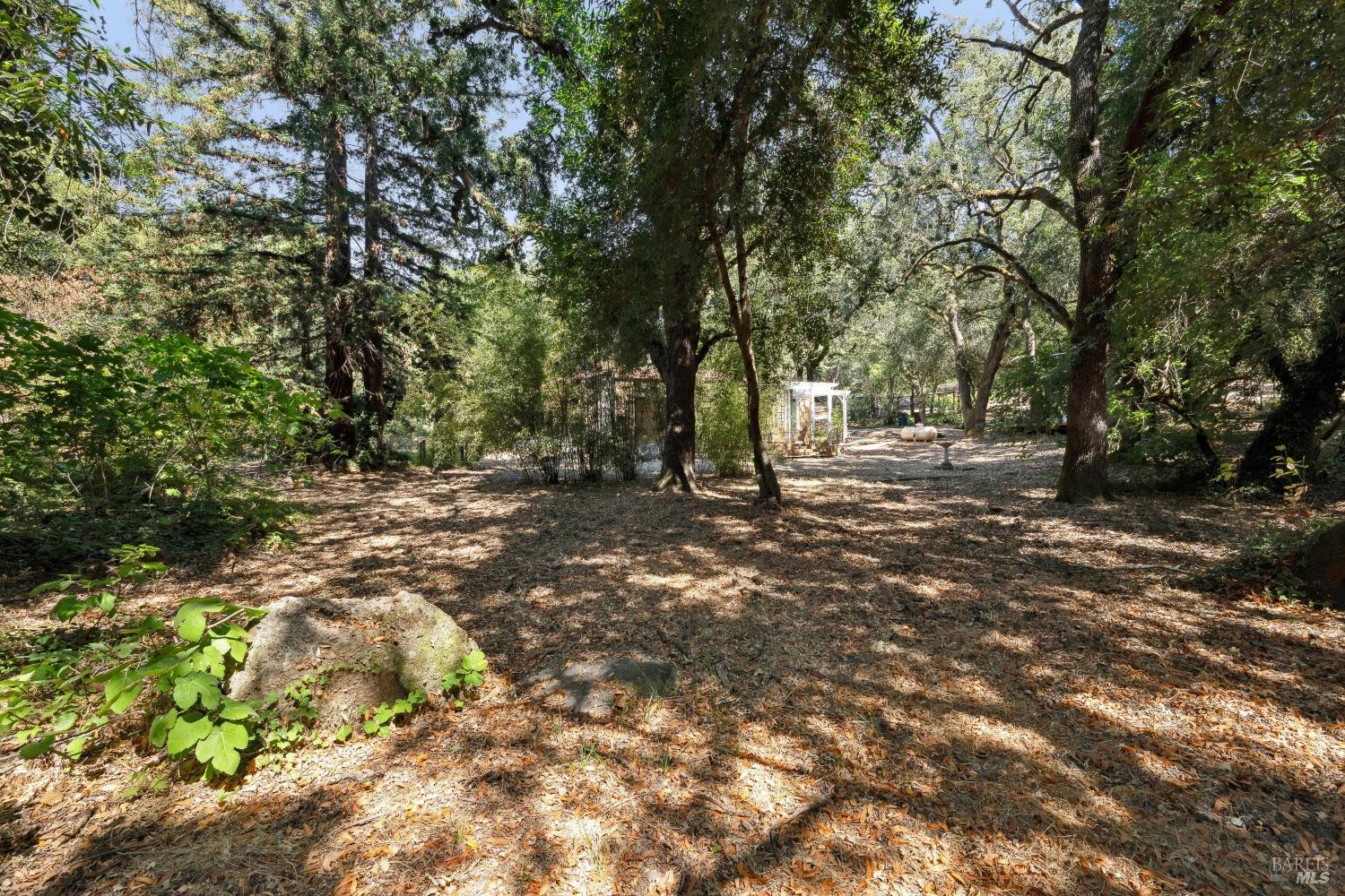 2035 Thornsberry Road