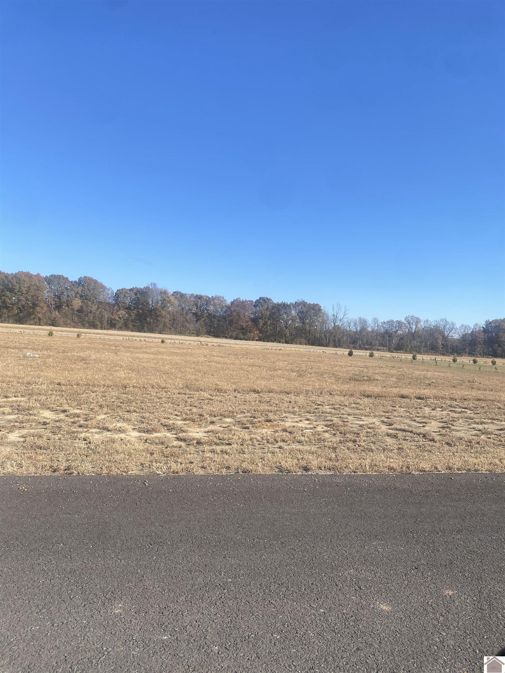 Lot 17, AYLY Estates Drive