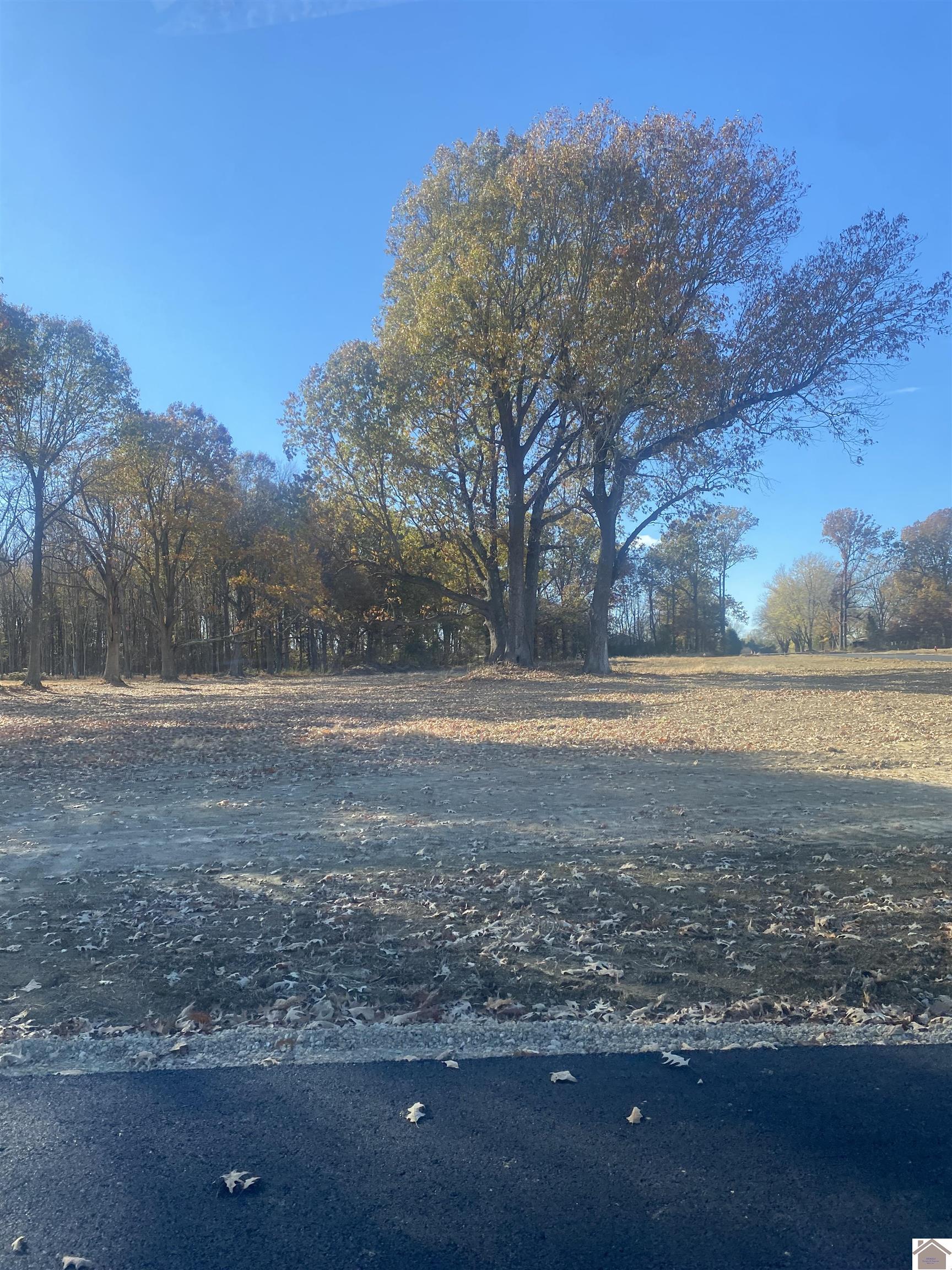 Lot 17, AYLY Estates Drive