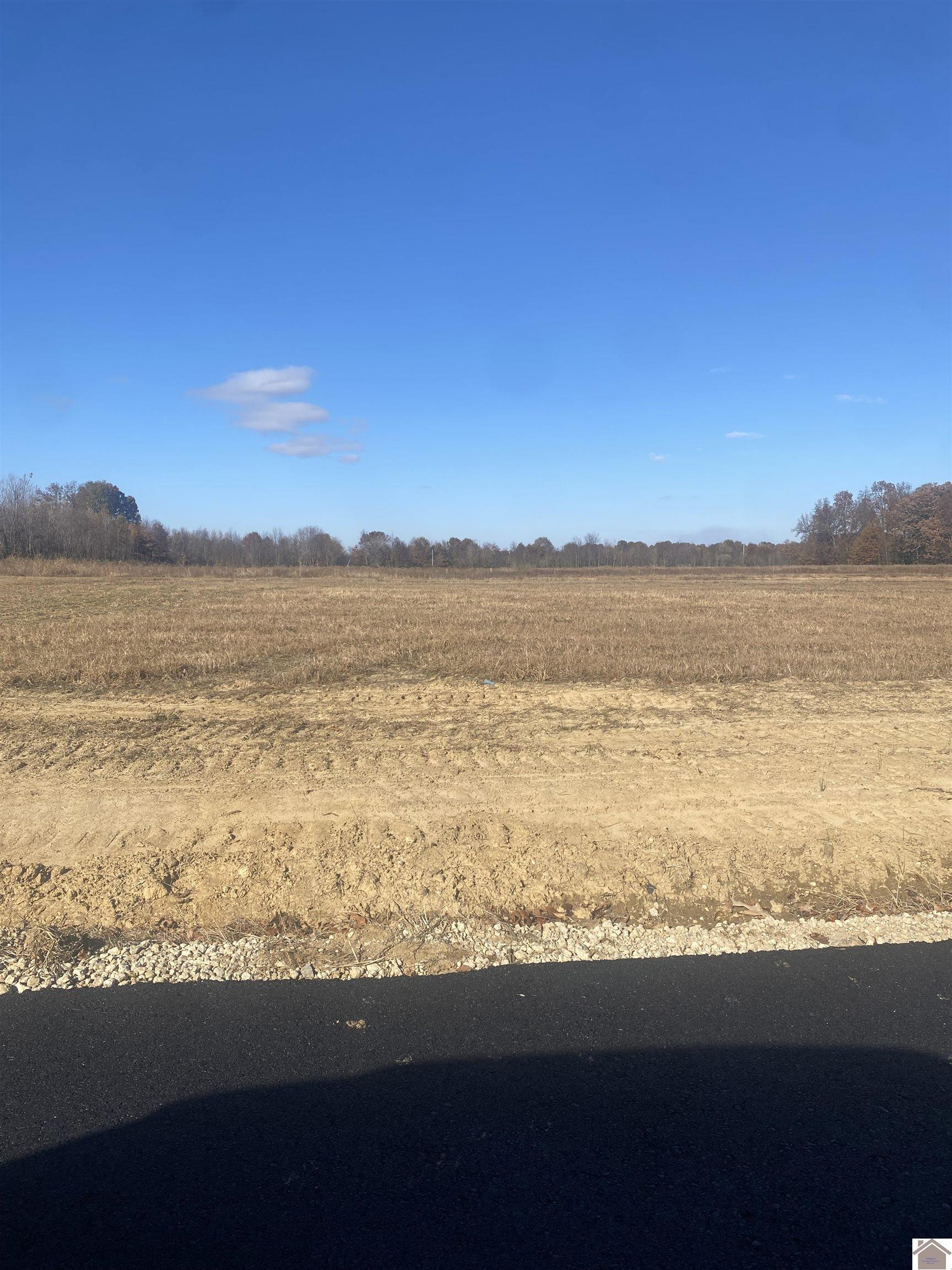 Lot 17, AYLY Estates Drive