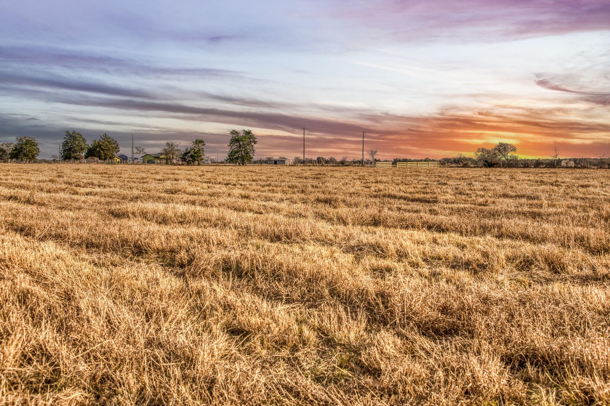 T B D County Road 318