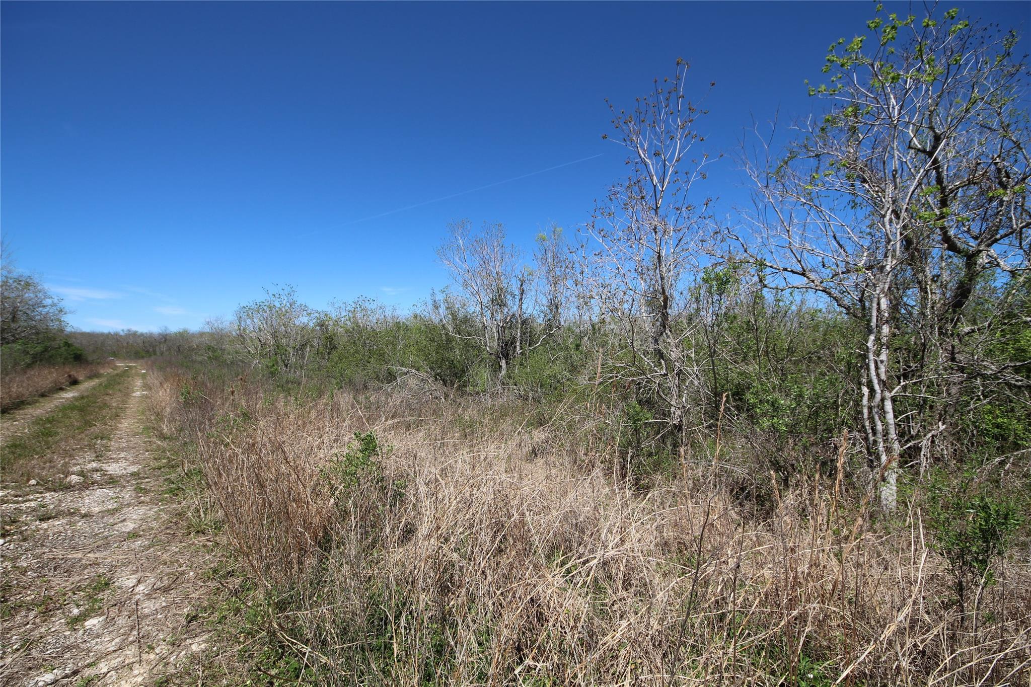 TBD Texas Hwy 288