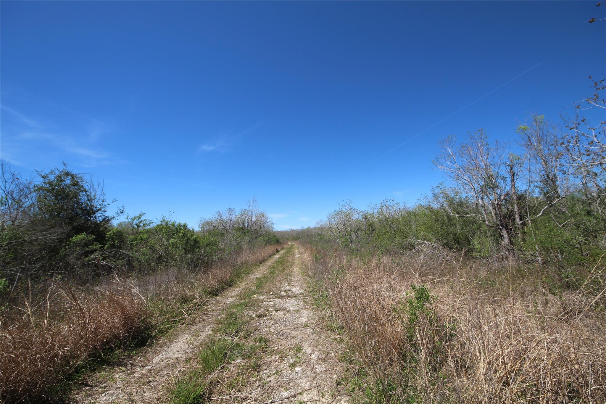 TBD Texas Hwy 288