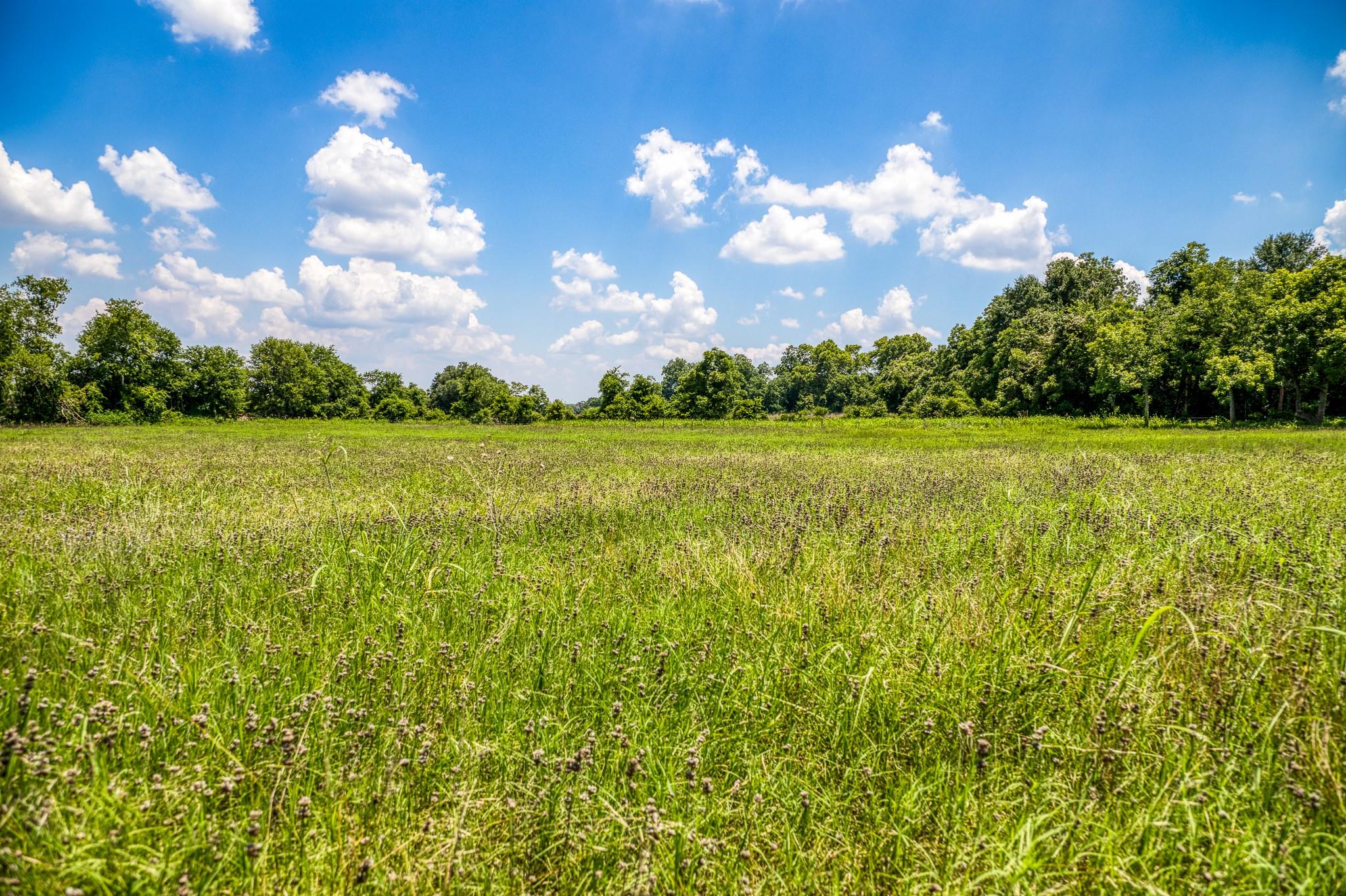 TBD Tbd Farm To Market 2726 Road