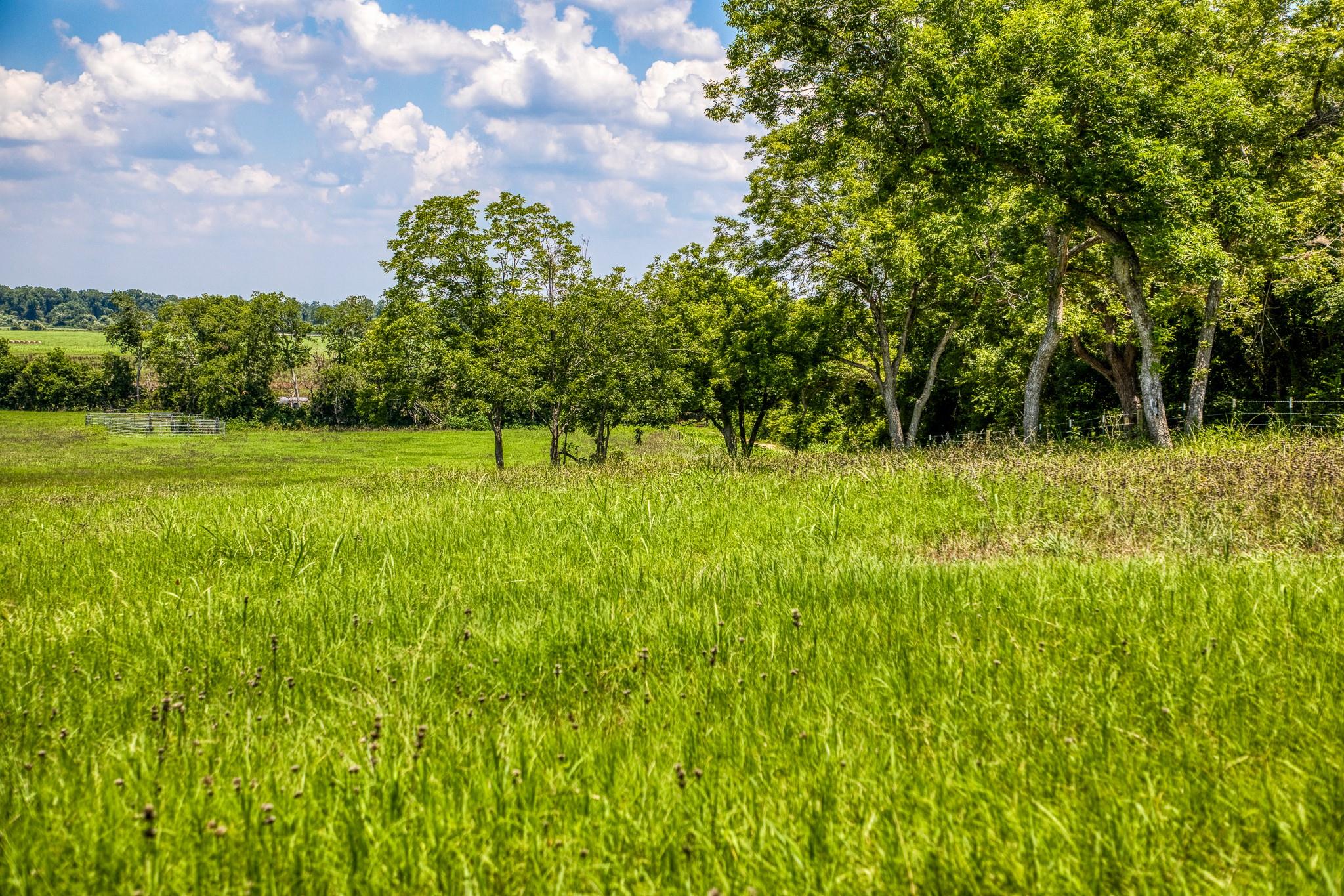 TBD Tbd Farm To Market 2726 Road