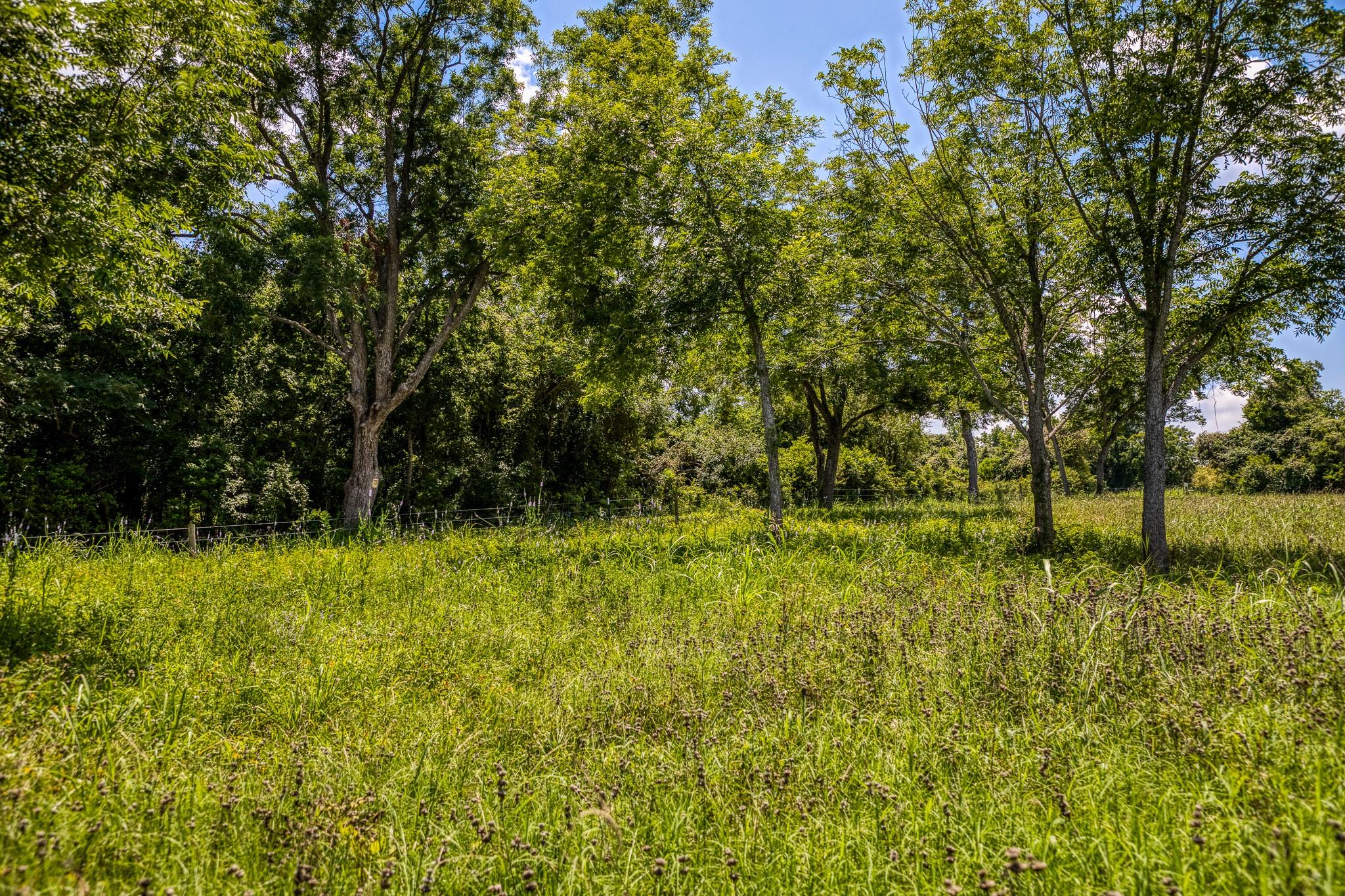 TBD Tbd Farm To Market 2726 Road