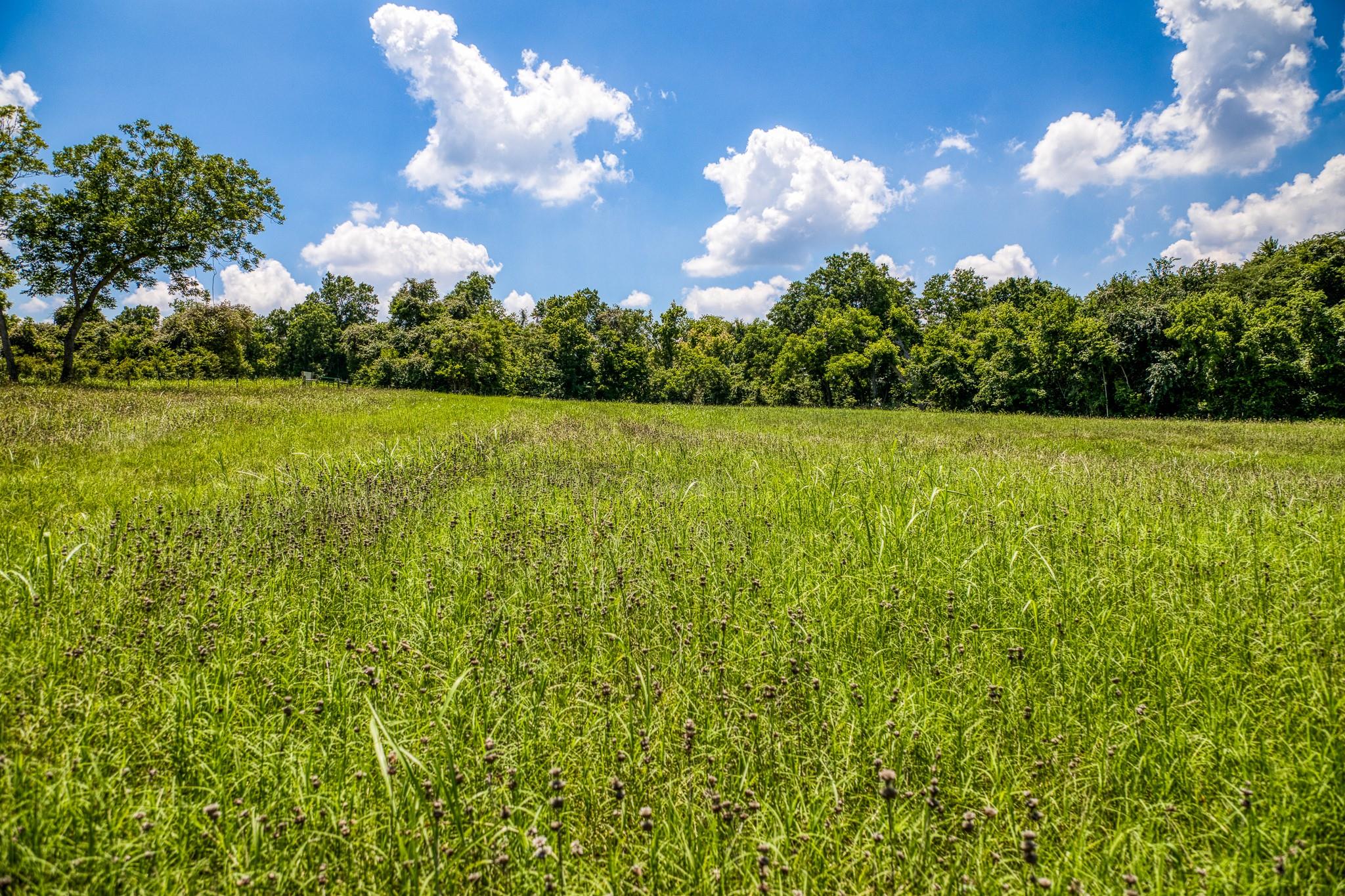 TBD Tbd Farm To Market 2726 Road