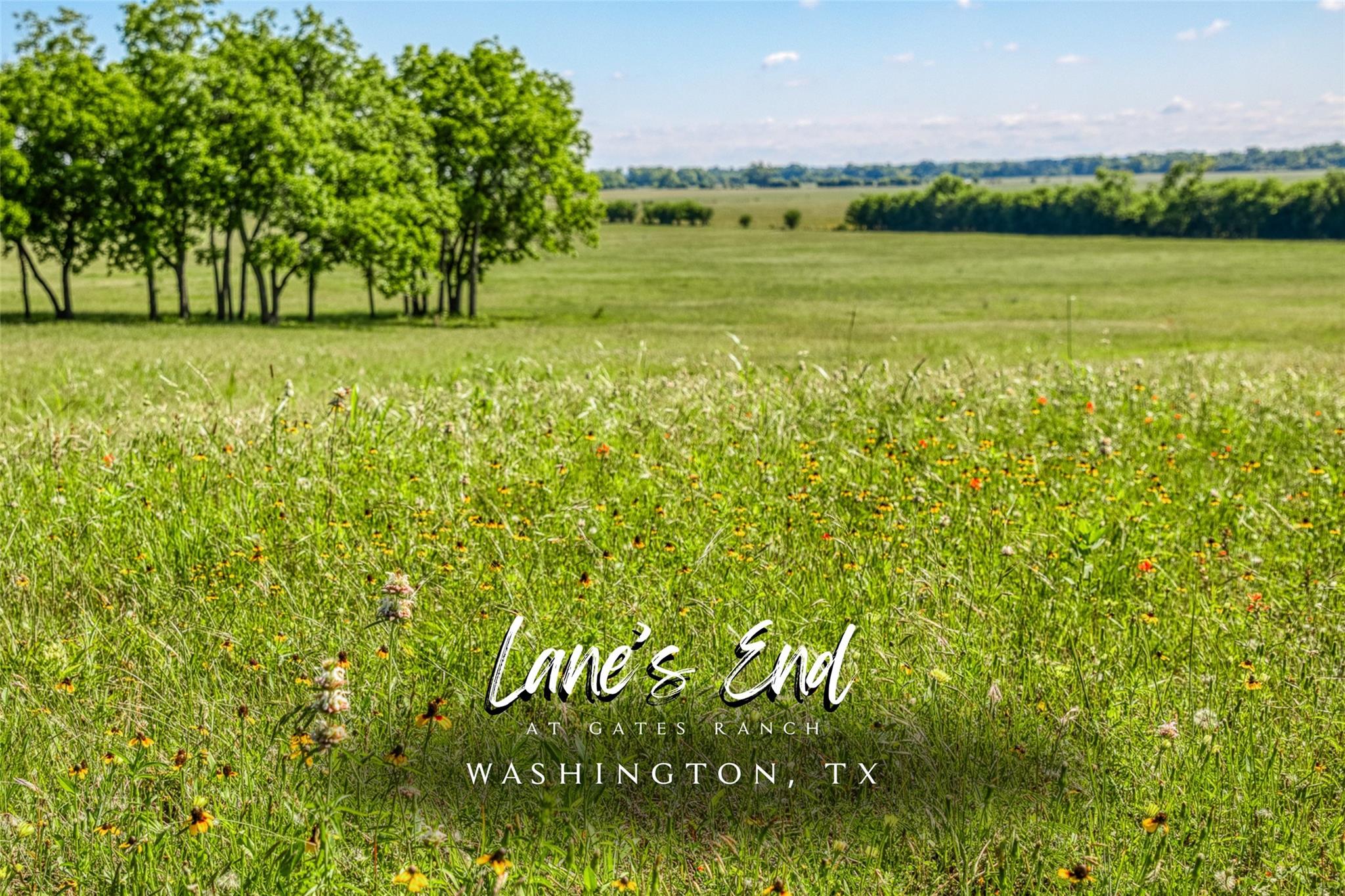 TBD Tbd Farm To Market 2726 Road