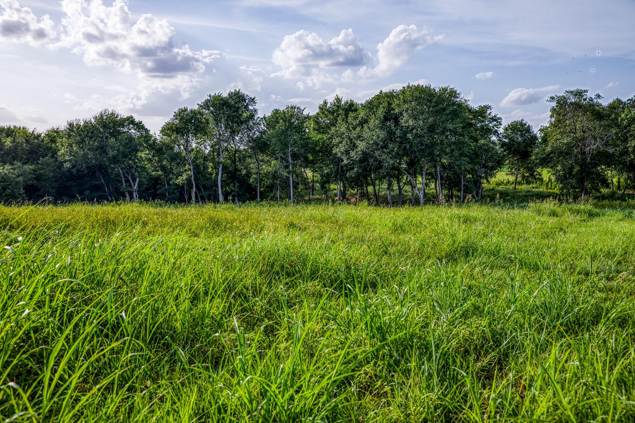 LOT 3 Hargrove Lane