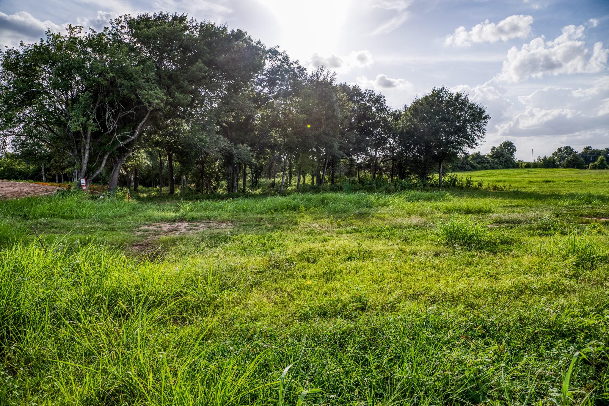 LOT 3 Hargrove Lane