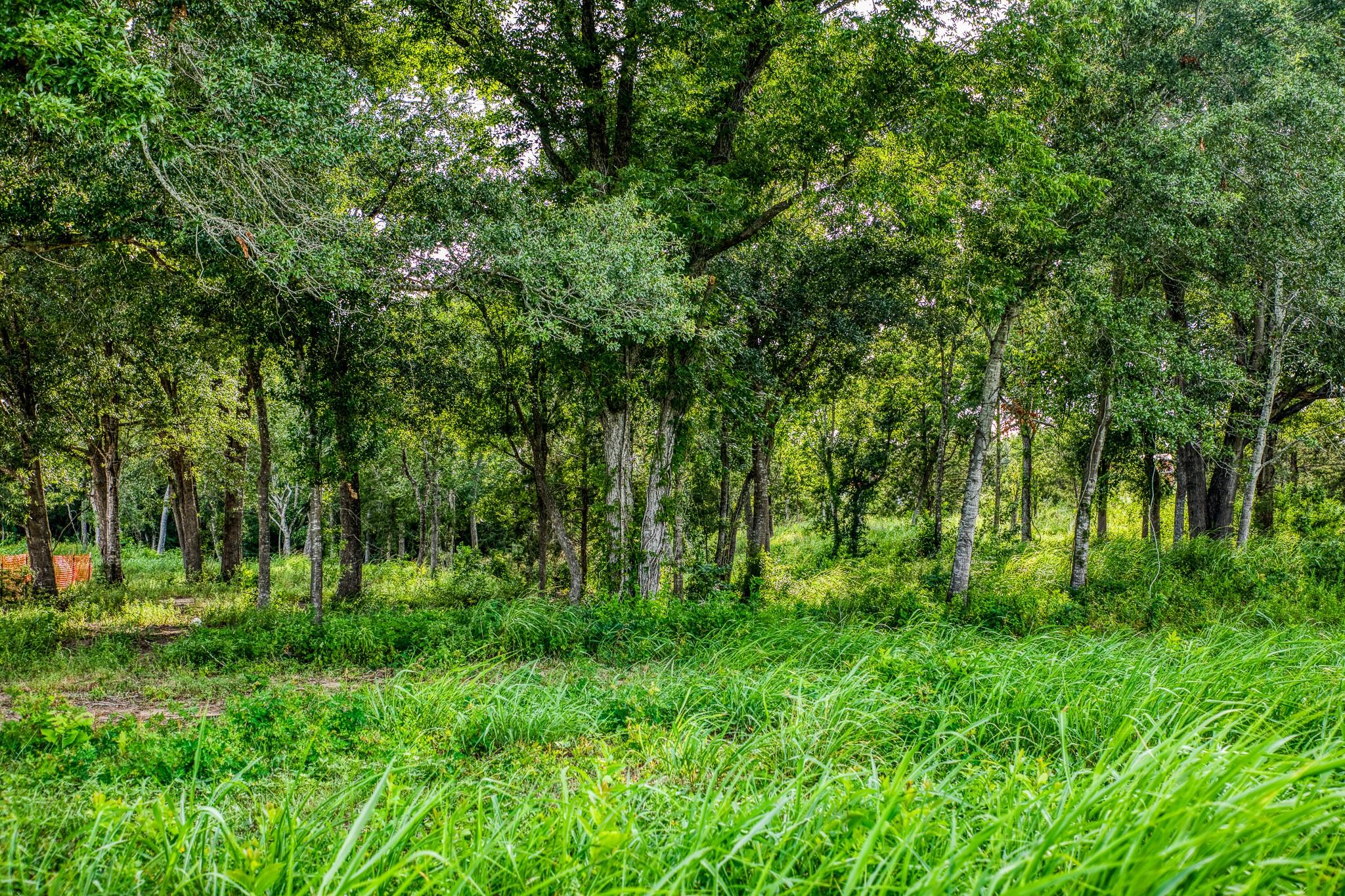 LOT 3 Hargrove Lane