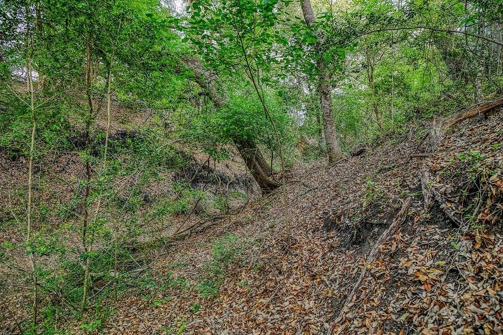 6.67 Acres Fm 390 E