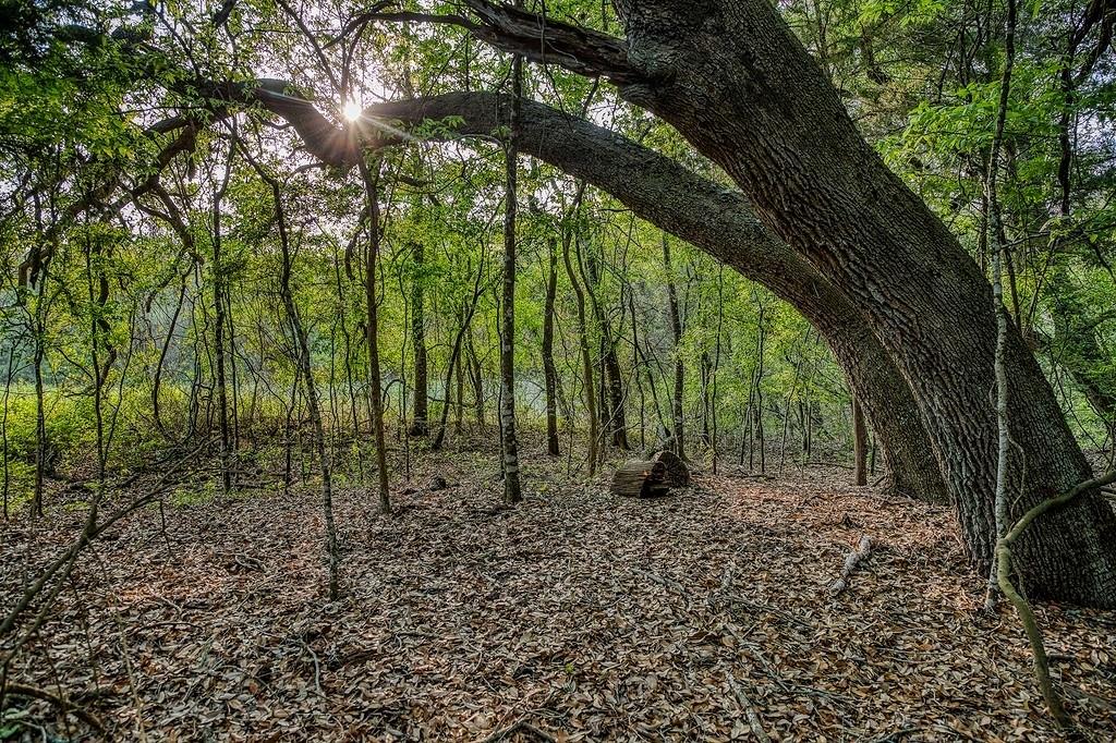 6.67 Acres Fm 390 E