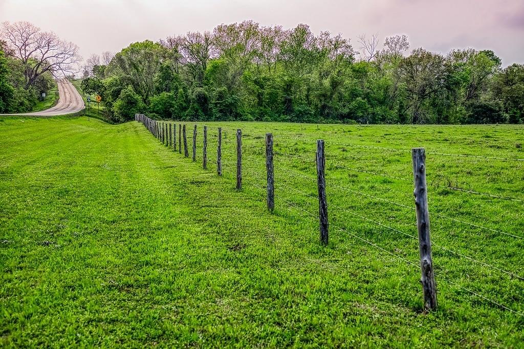 6.67 Acres Fm 390 E
