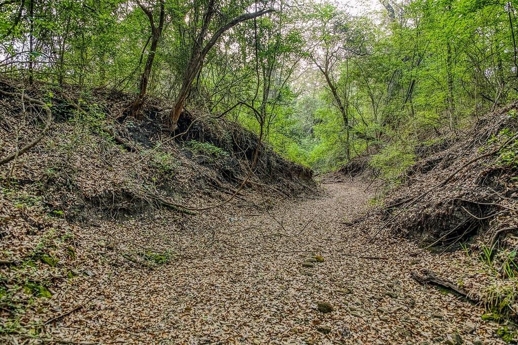 6.67 Acres Fm 390 E