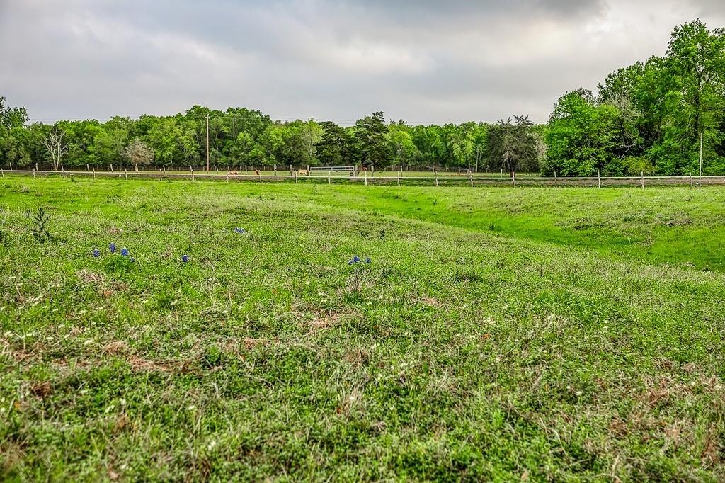 6.67 Acres Fm 390 E