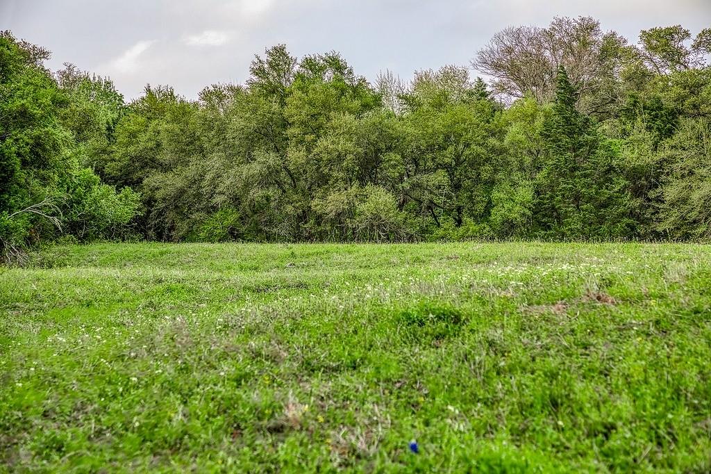 6.67 Acres Fm 390 E