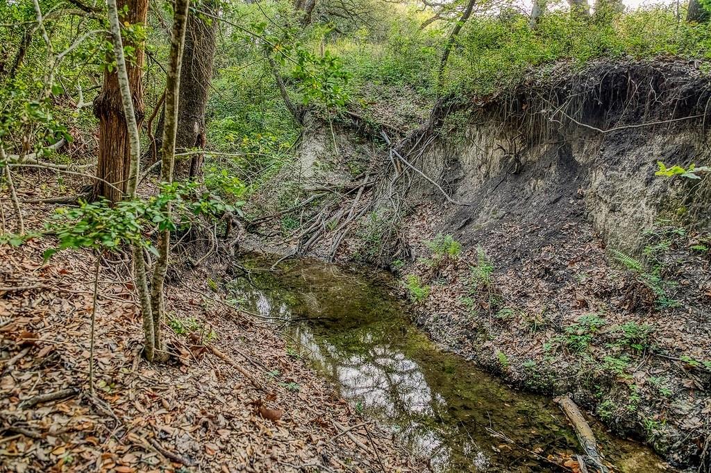 6.67 Acres Fm 390 E