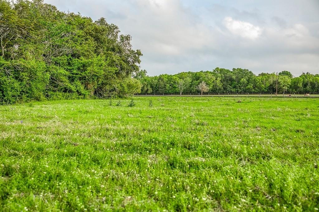 6.67 Acres Fm 390 E