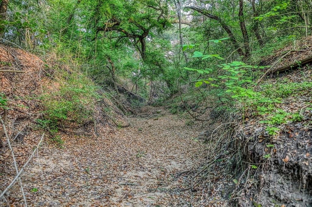 6.67 Acres Fm 390 E