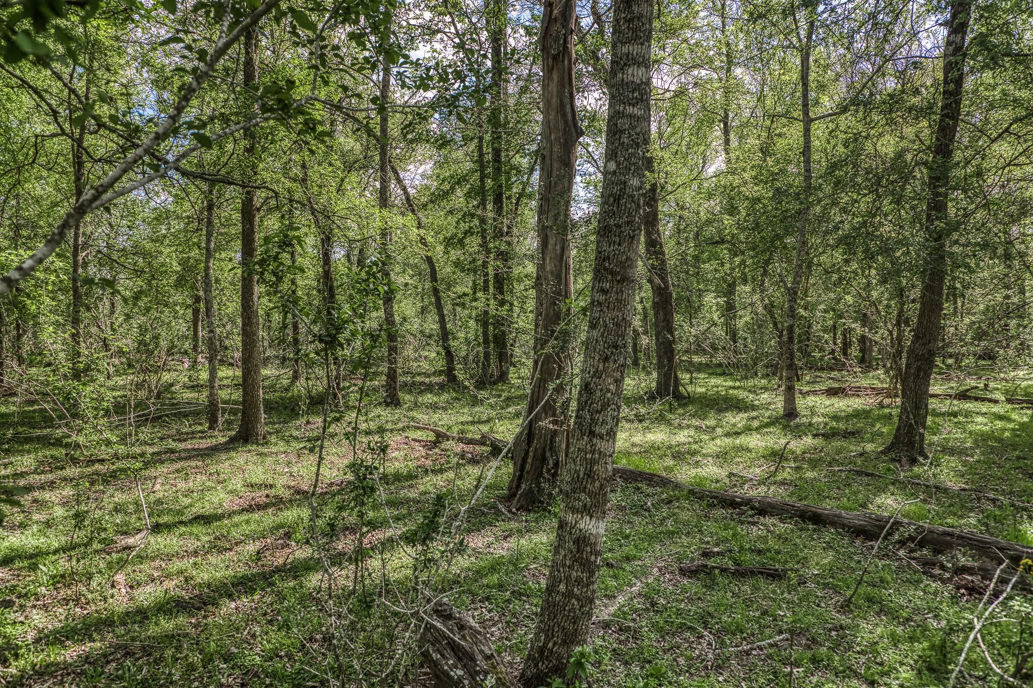 3437 Brown College Lane