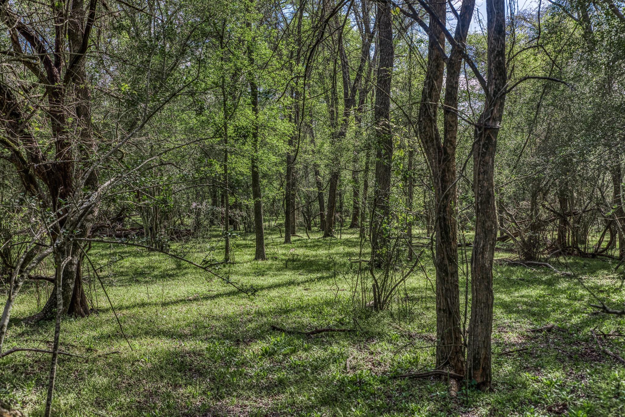 3437 Brown College Lane