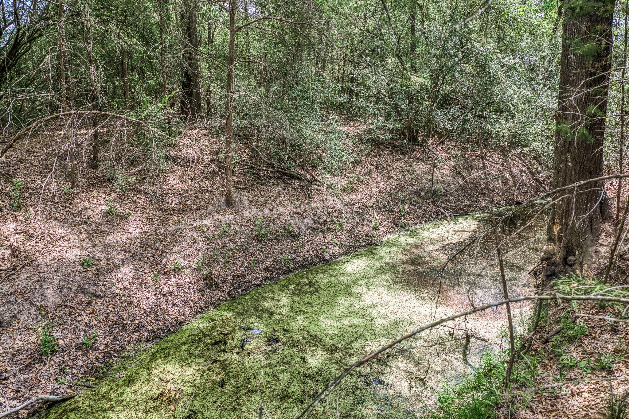 7157 Fm 1697 Tract 1