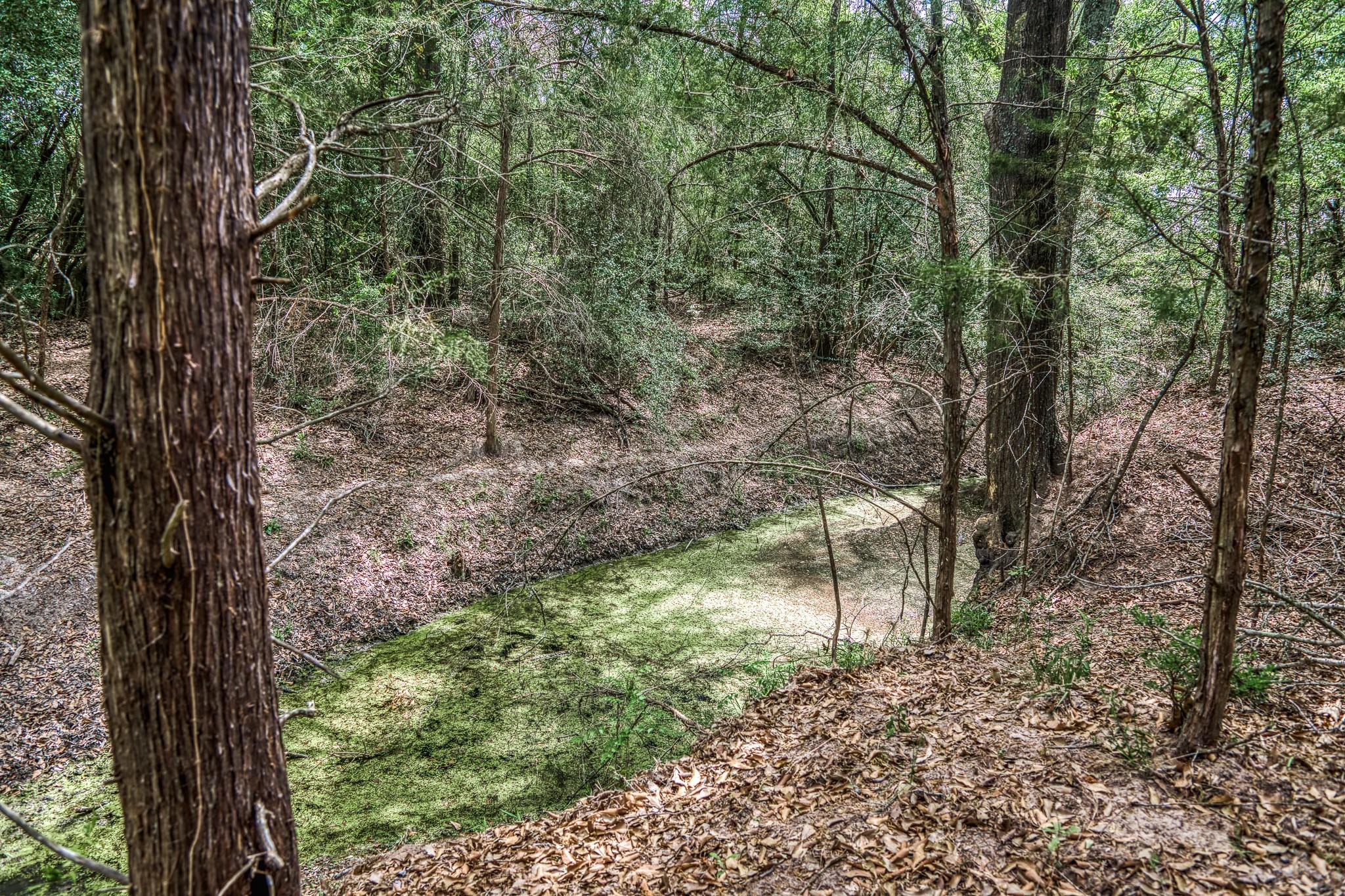 7157 Fm 1697 Tract 1