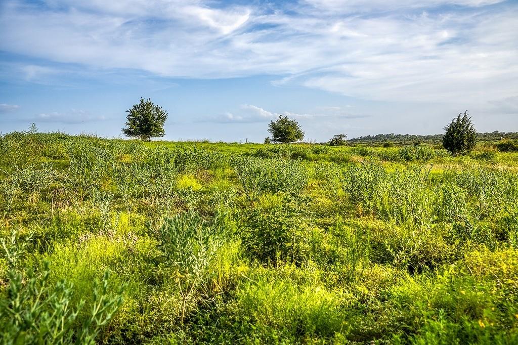 Lot 10 Hargrove Lane
